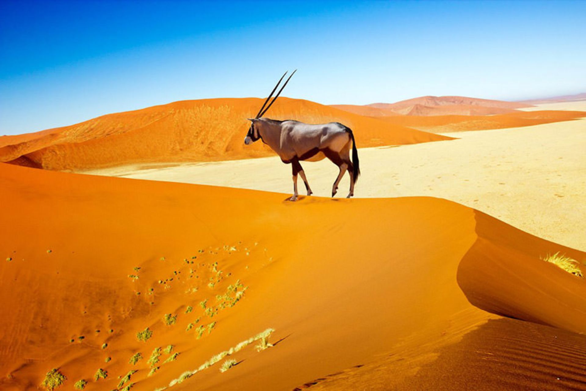تپه شنی ۴۵