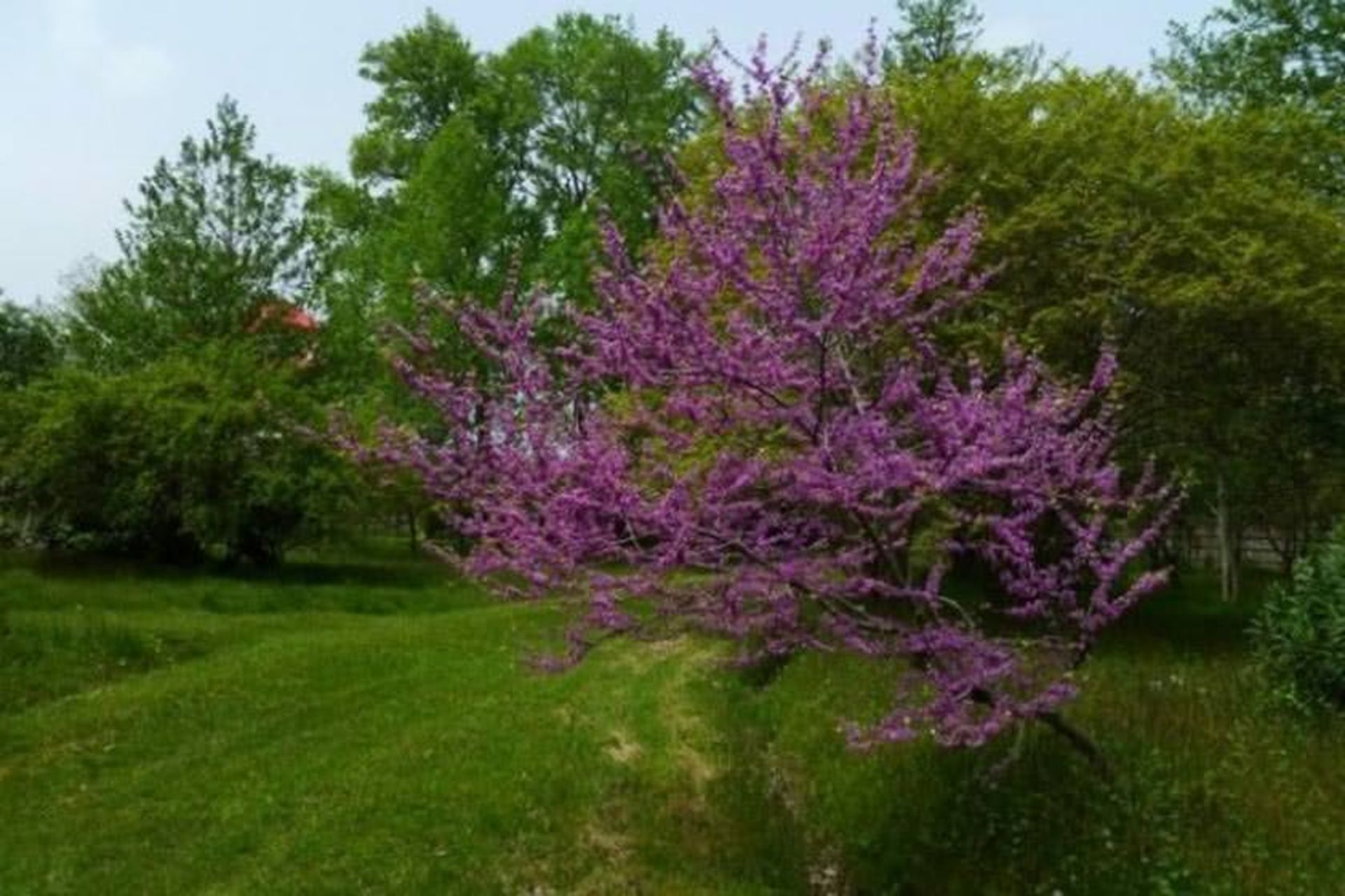 باغ اکولوژی نوشهر