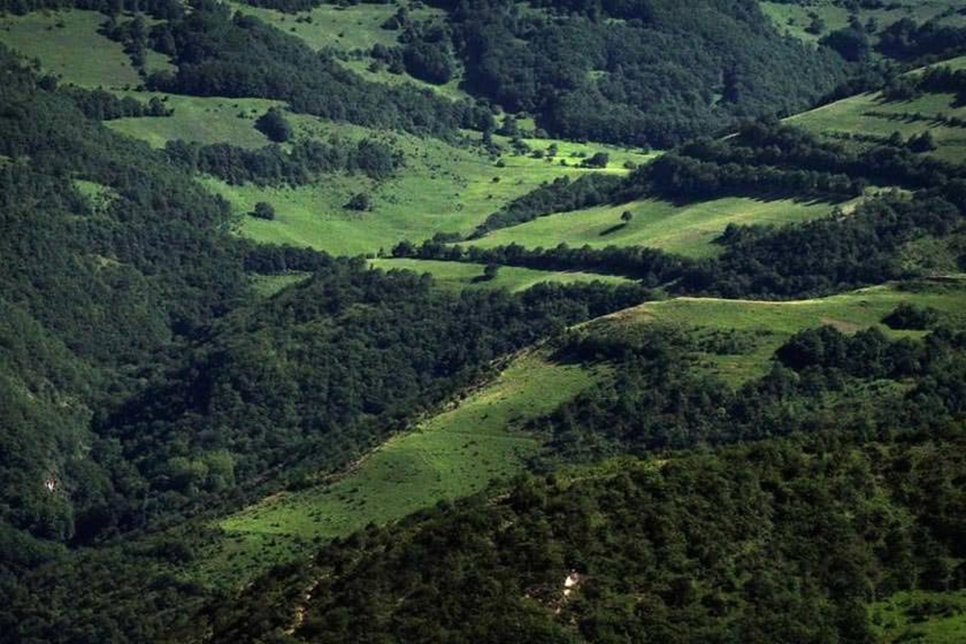 پارک ملی کنتال 