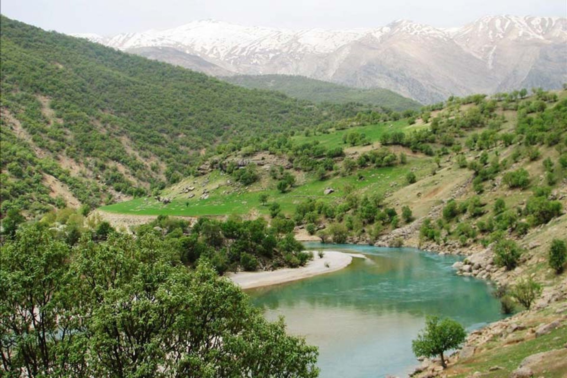 منطقه جنگلی بازفت