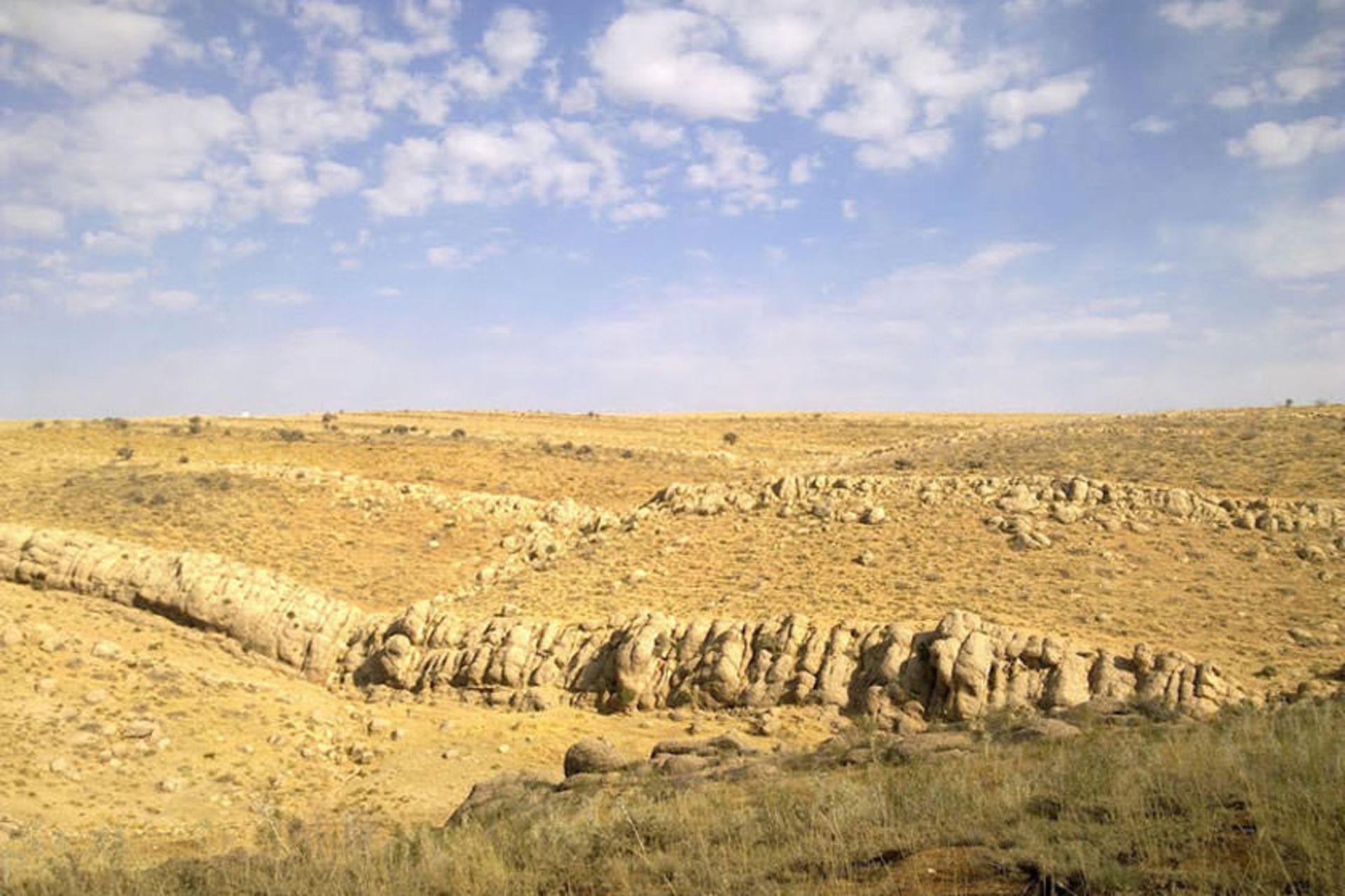 منطقه شکار ممنوع بصیران