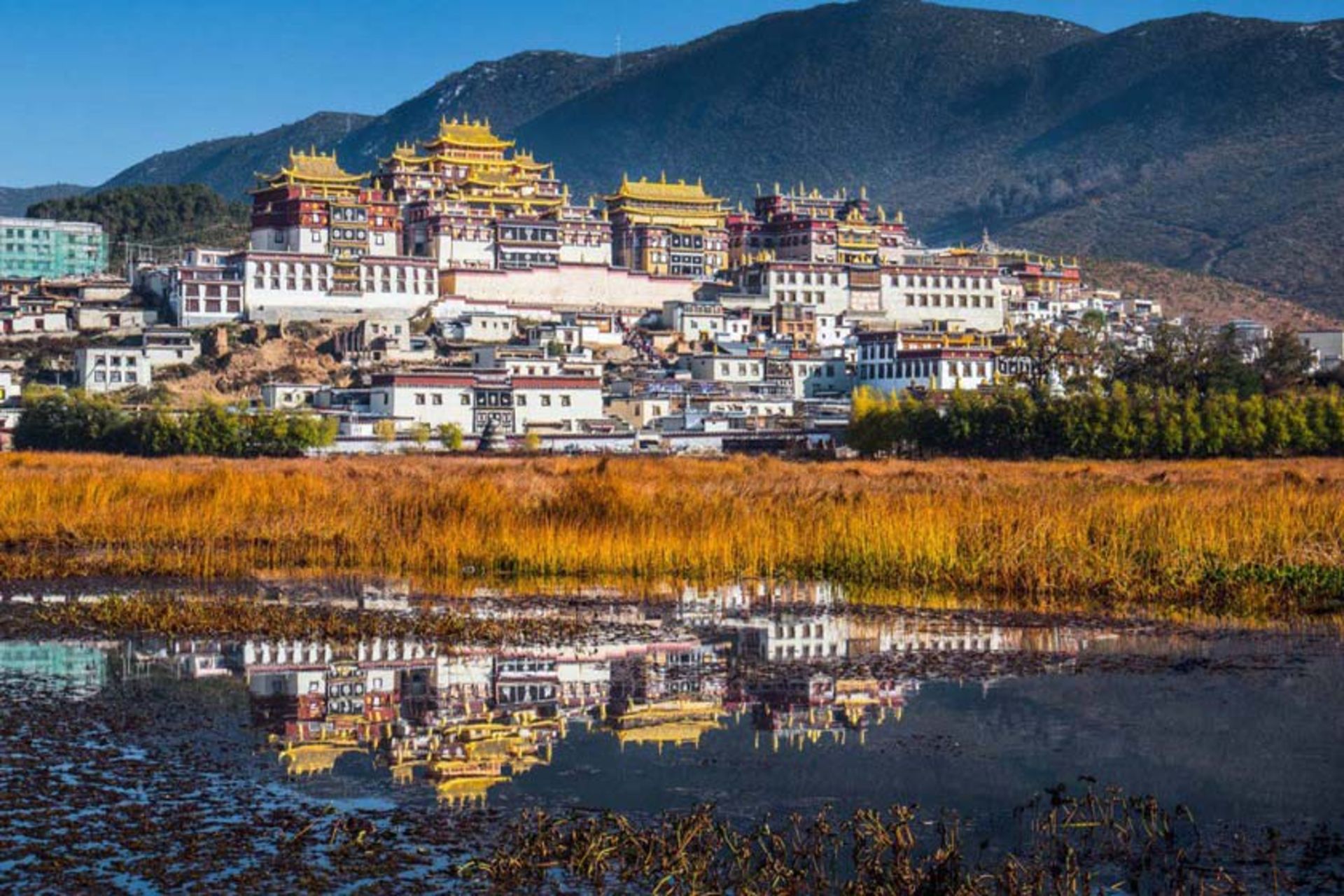 صومعه سانگ زان لین (Songzanlin Monastery)