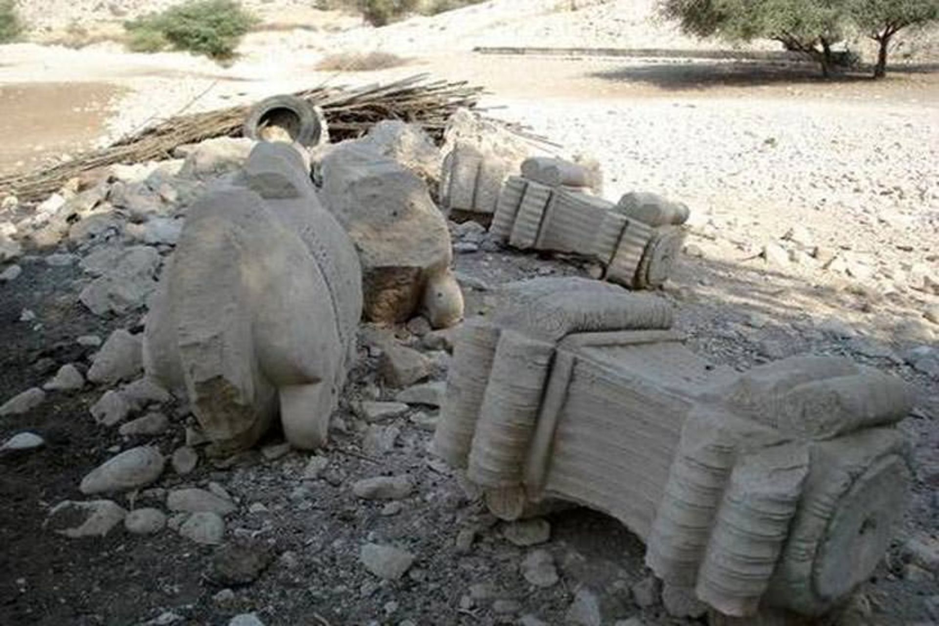 تمب بت