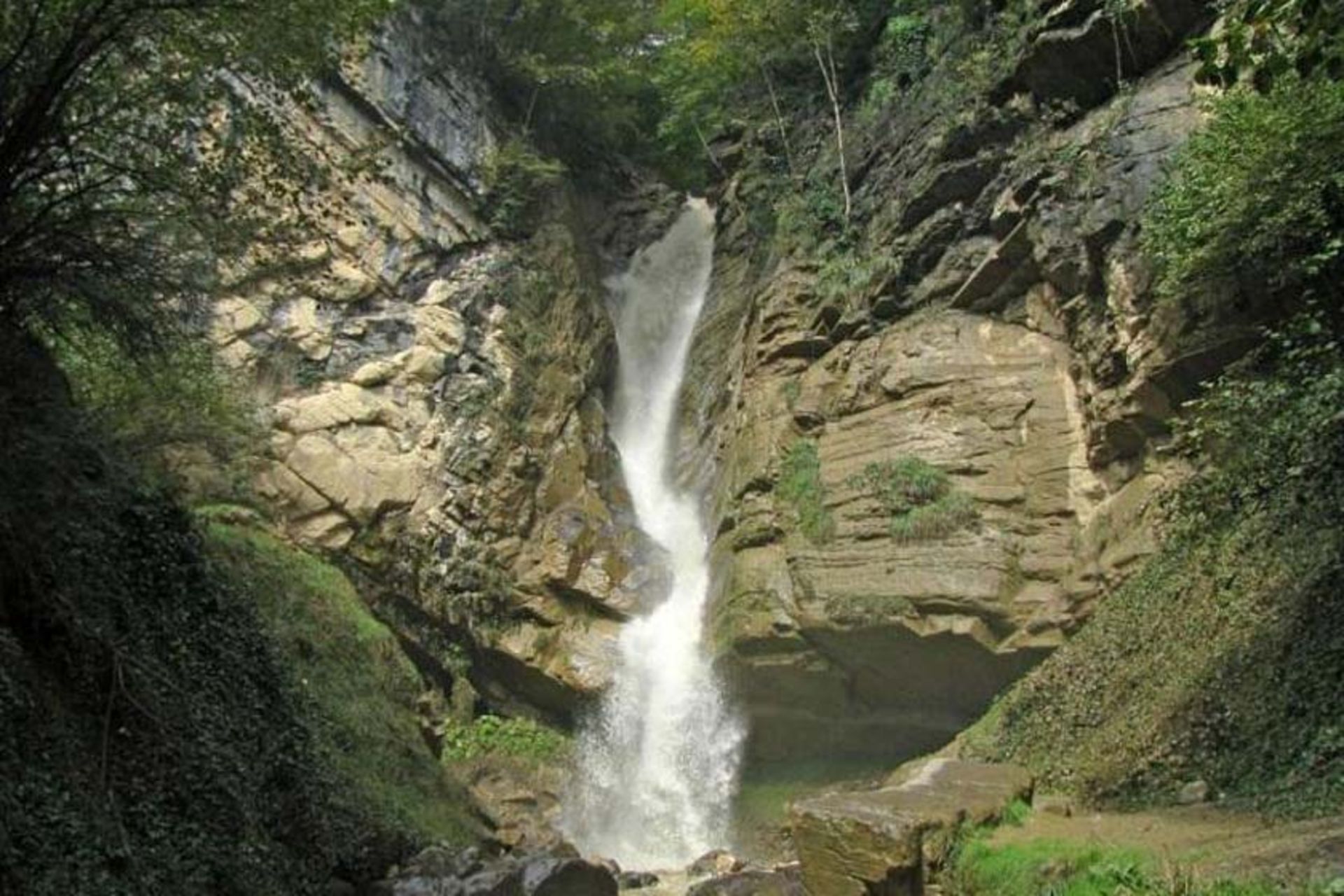 پارک جنگلی ماسوله