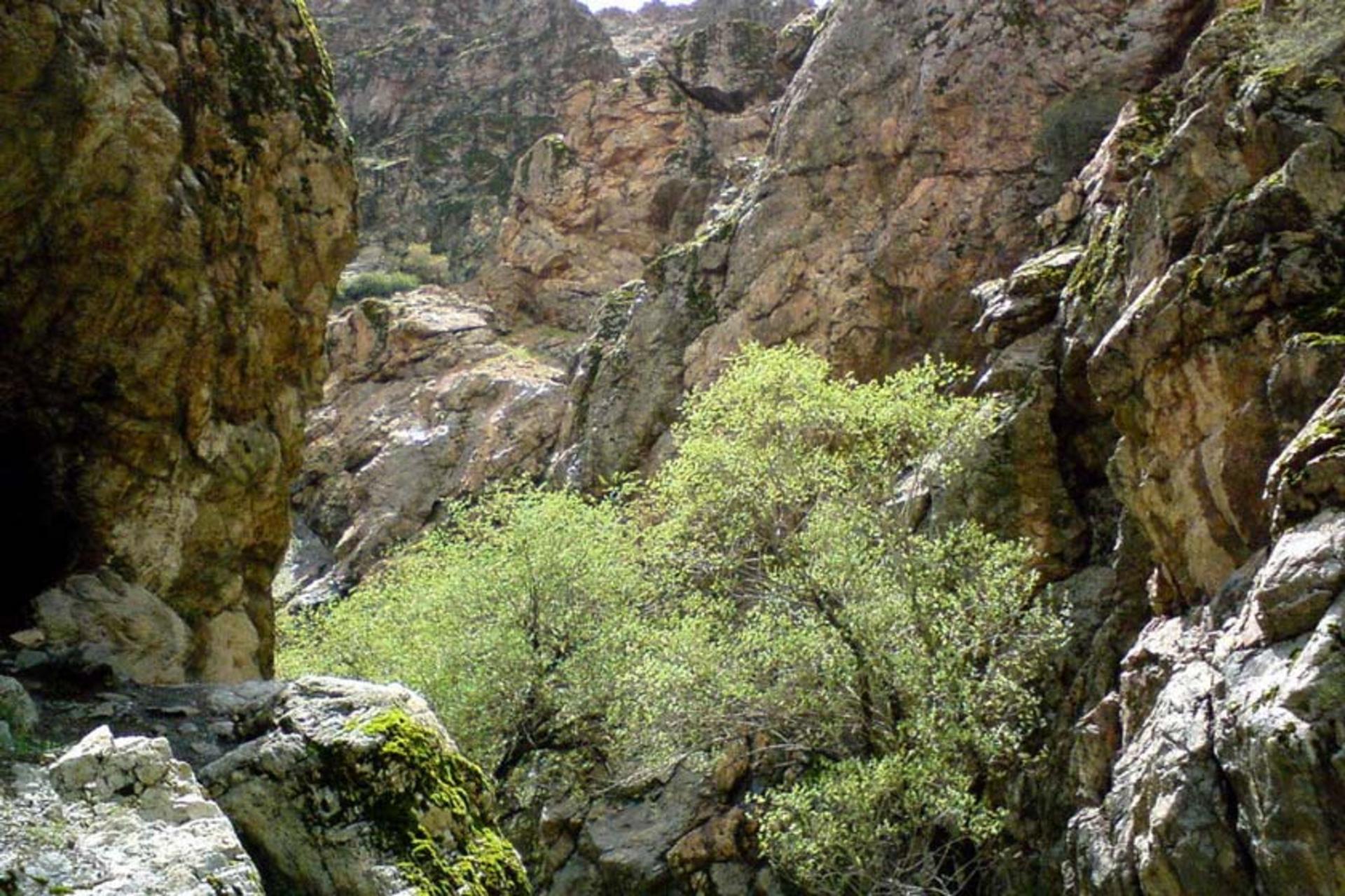 دره کن سولقان
