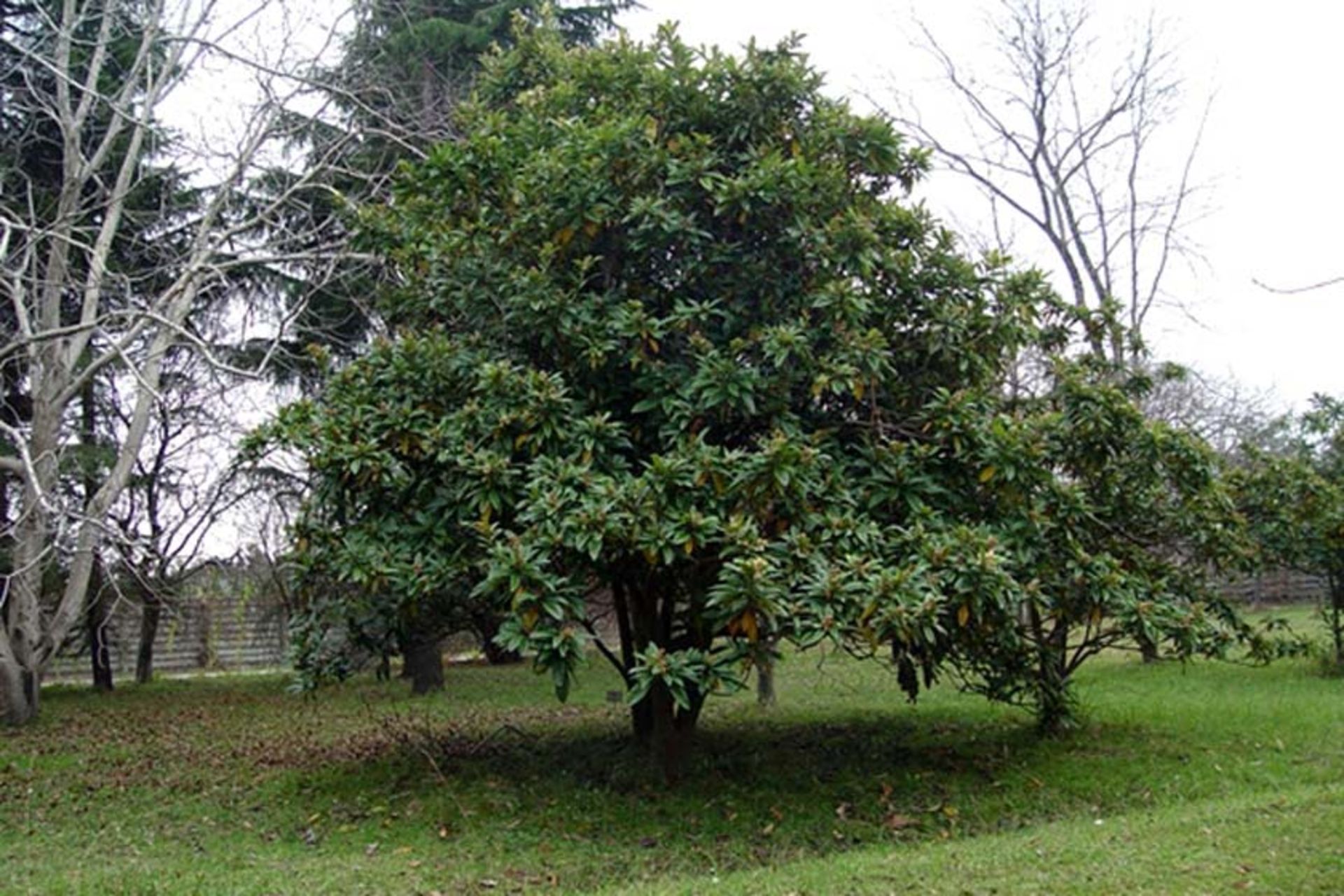 باغ اکولوژی نوشهر