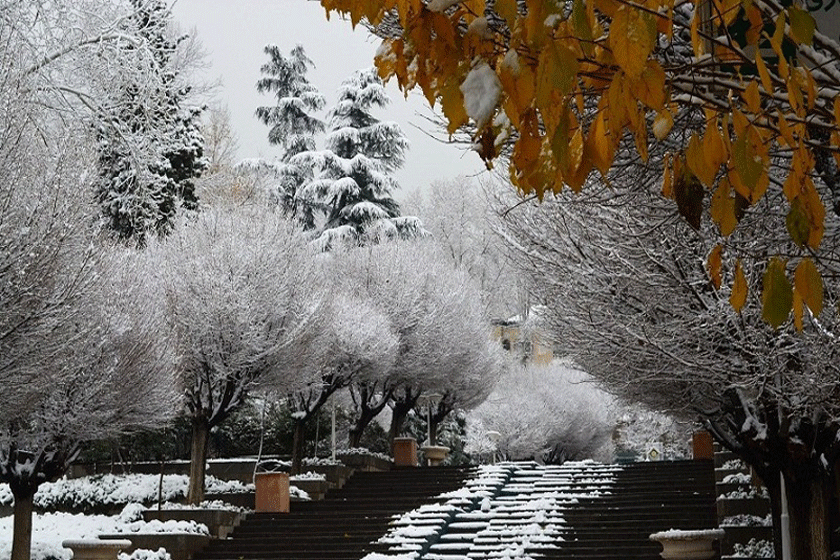 تهران گردی زمستان