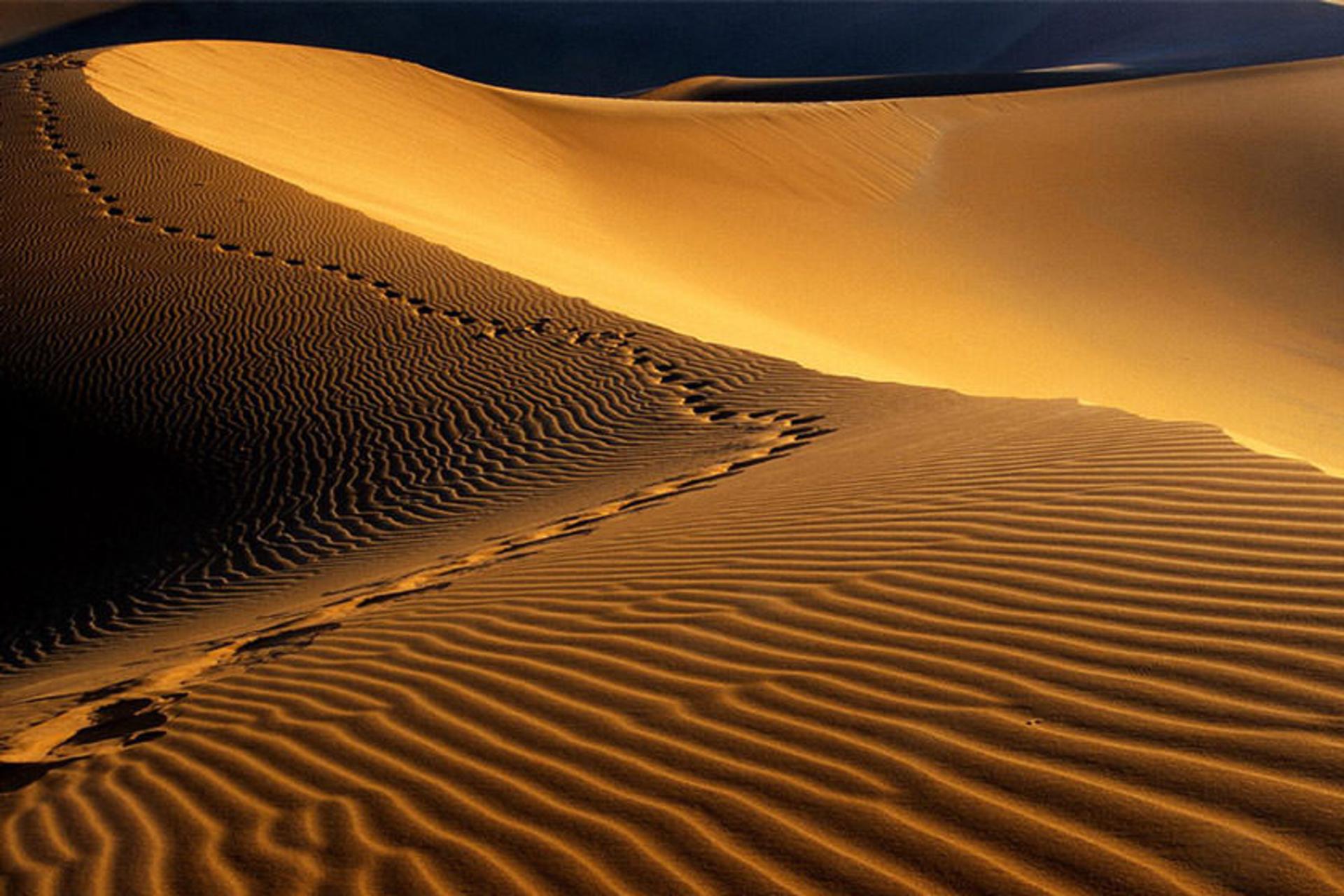 ردپای انسان روی شن های دشت کویر 