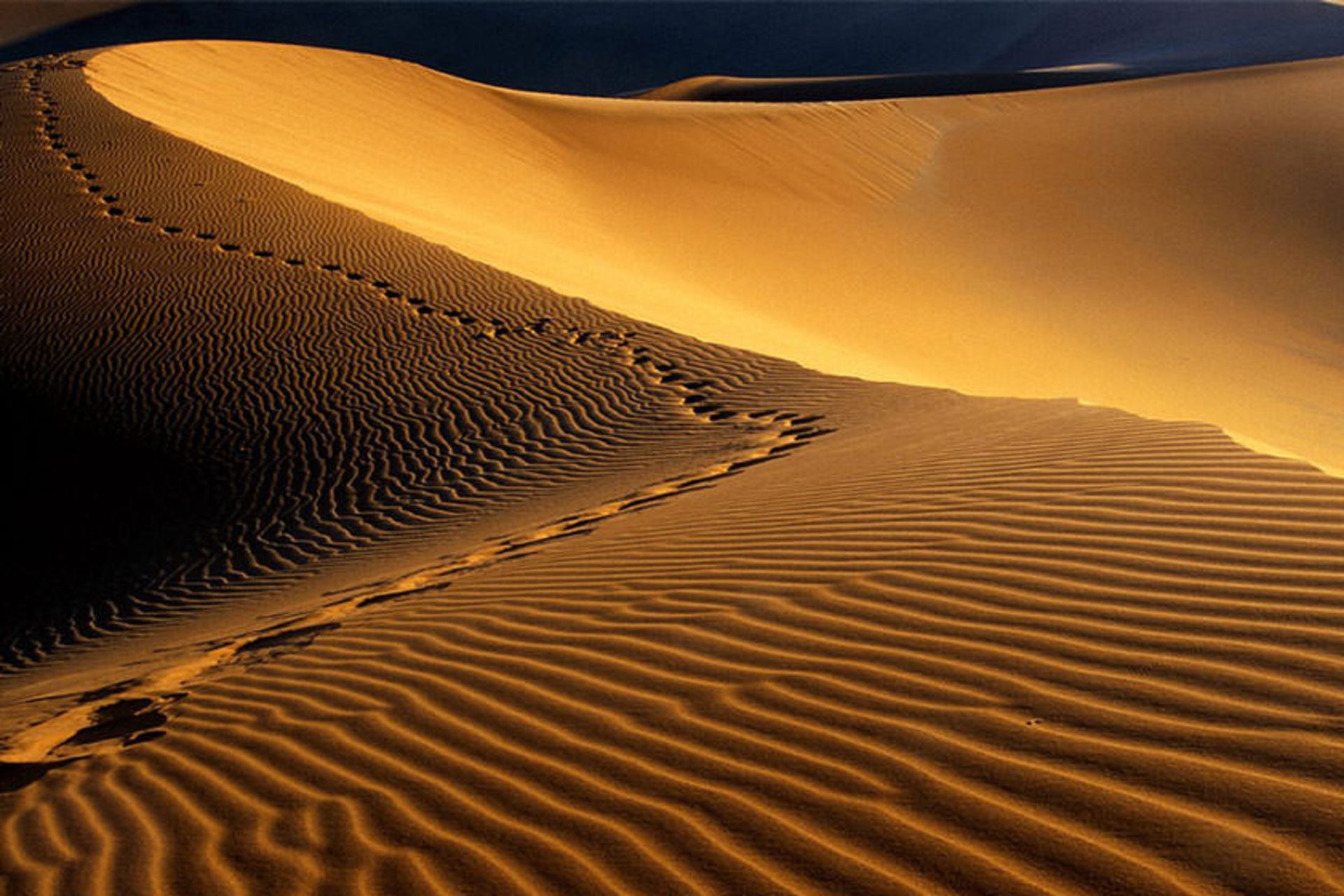 ردپای انسان روی شن های دشت کویر 