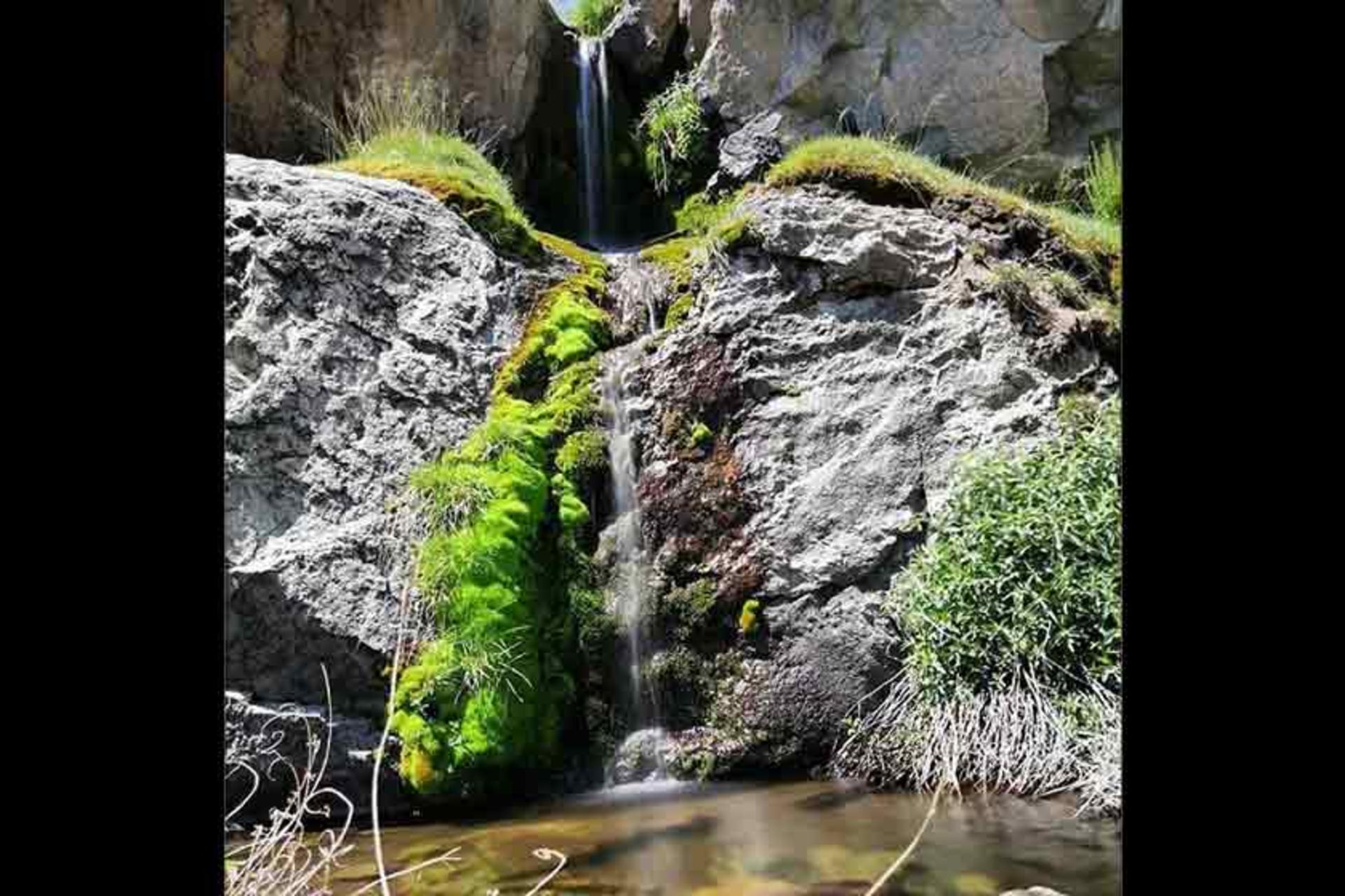 منطقه ساردوئیه