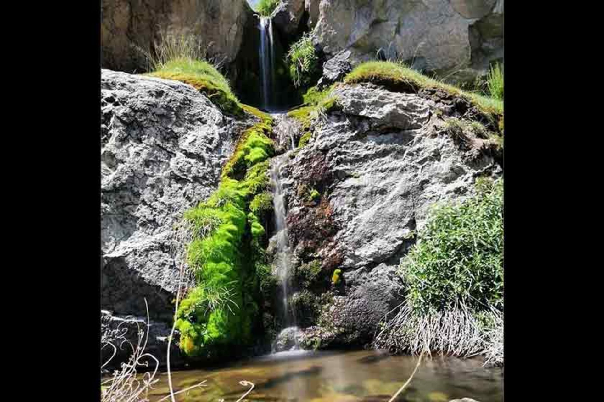 منطقه ساردوئیه