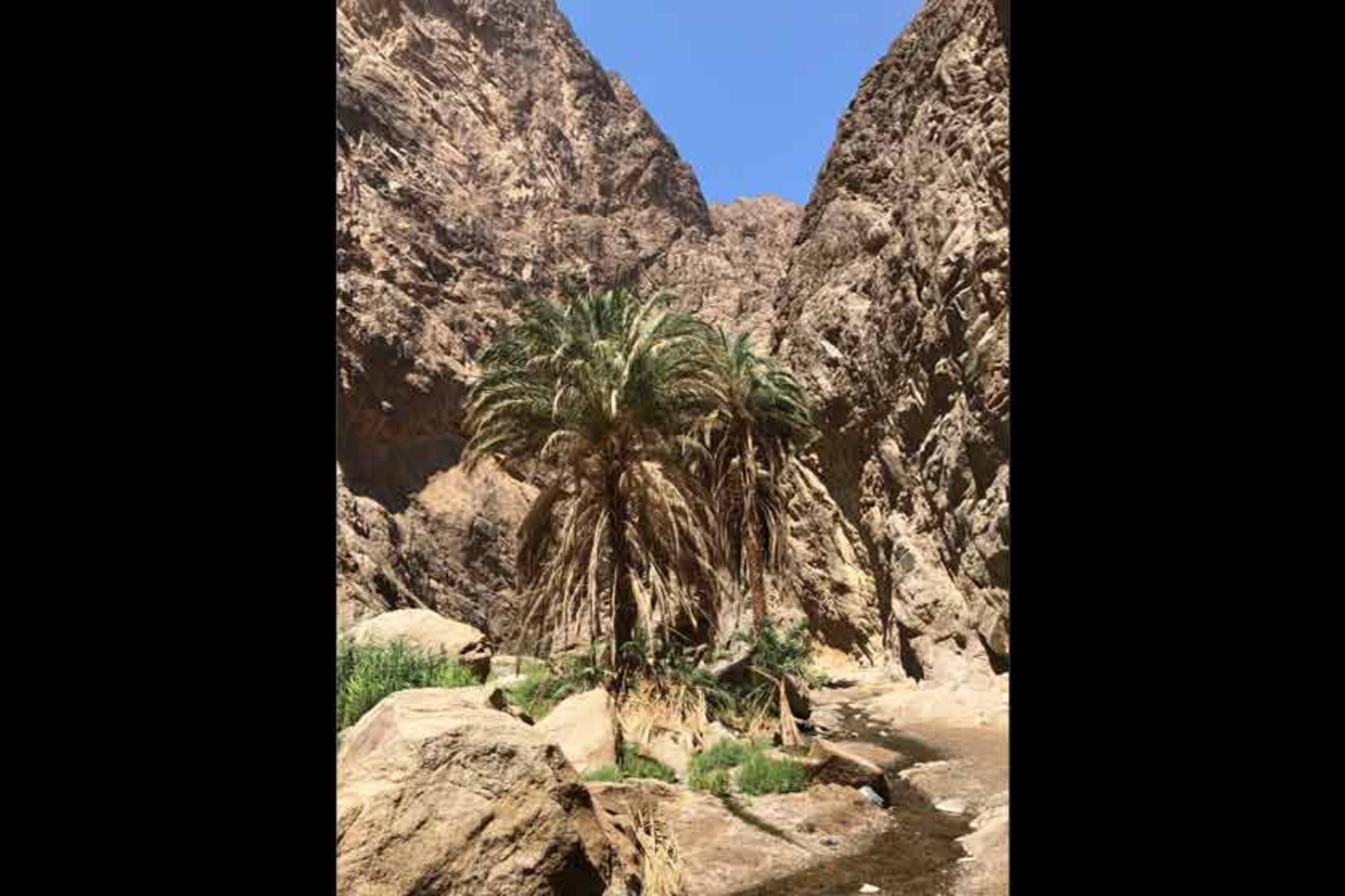 وادی طیب الاسم (دره حضرت موسی)