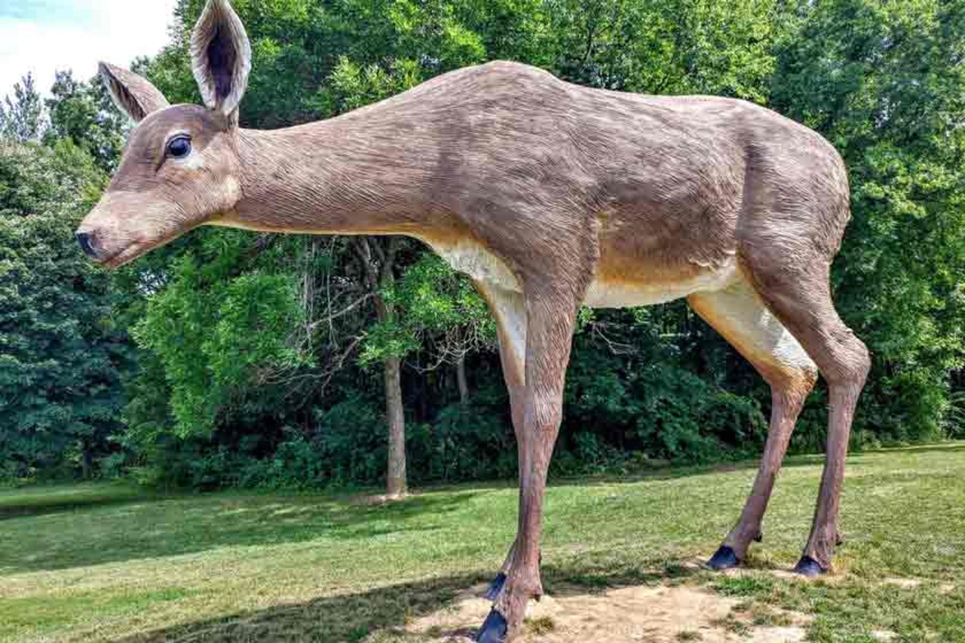پارک مجسمه لومیر