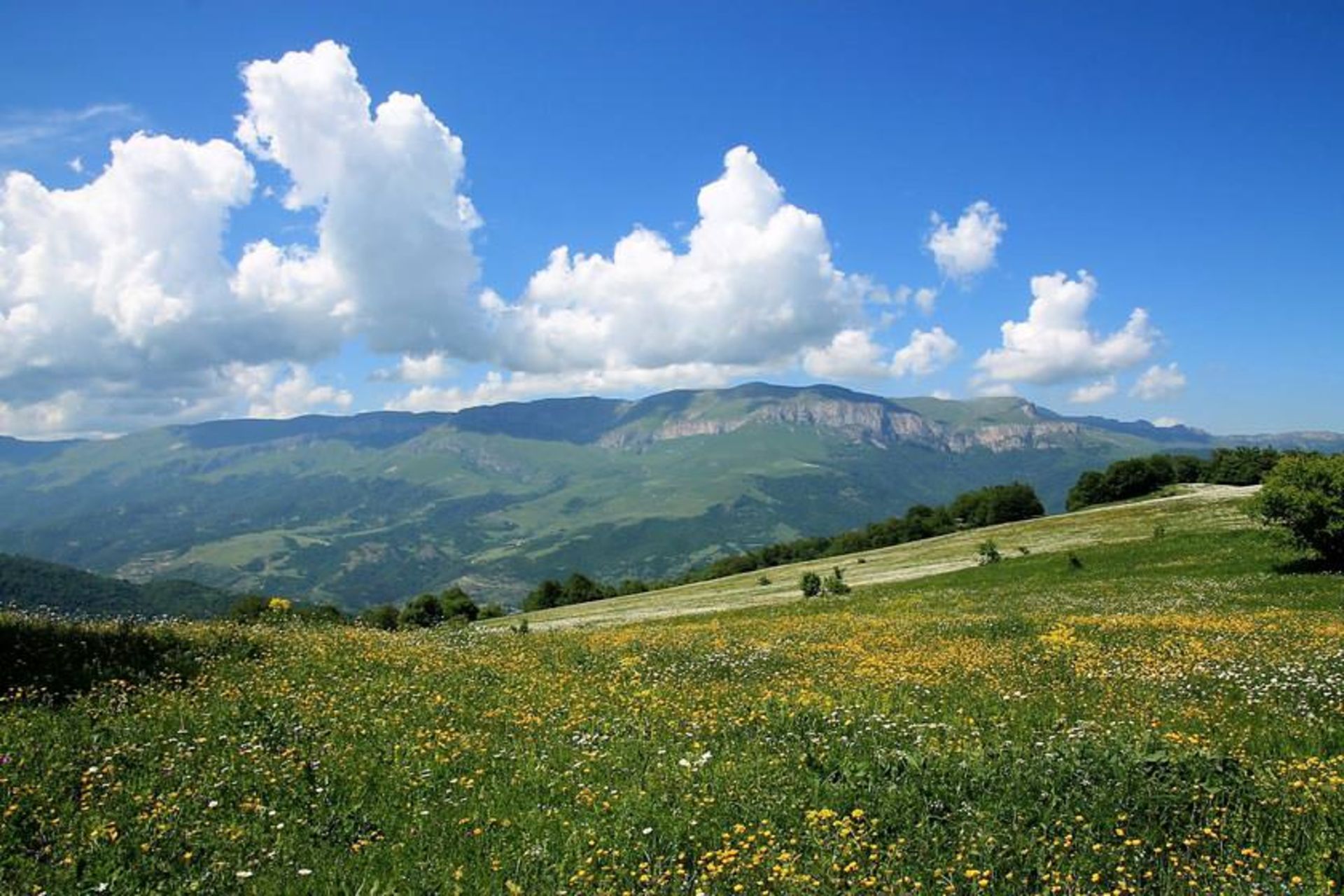 پارک ملی دیلیجان