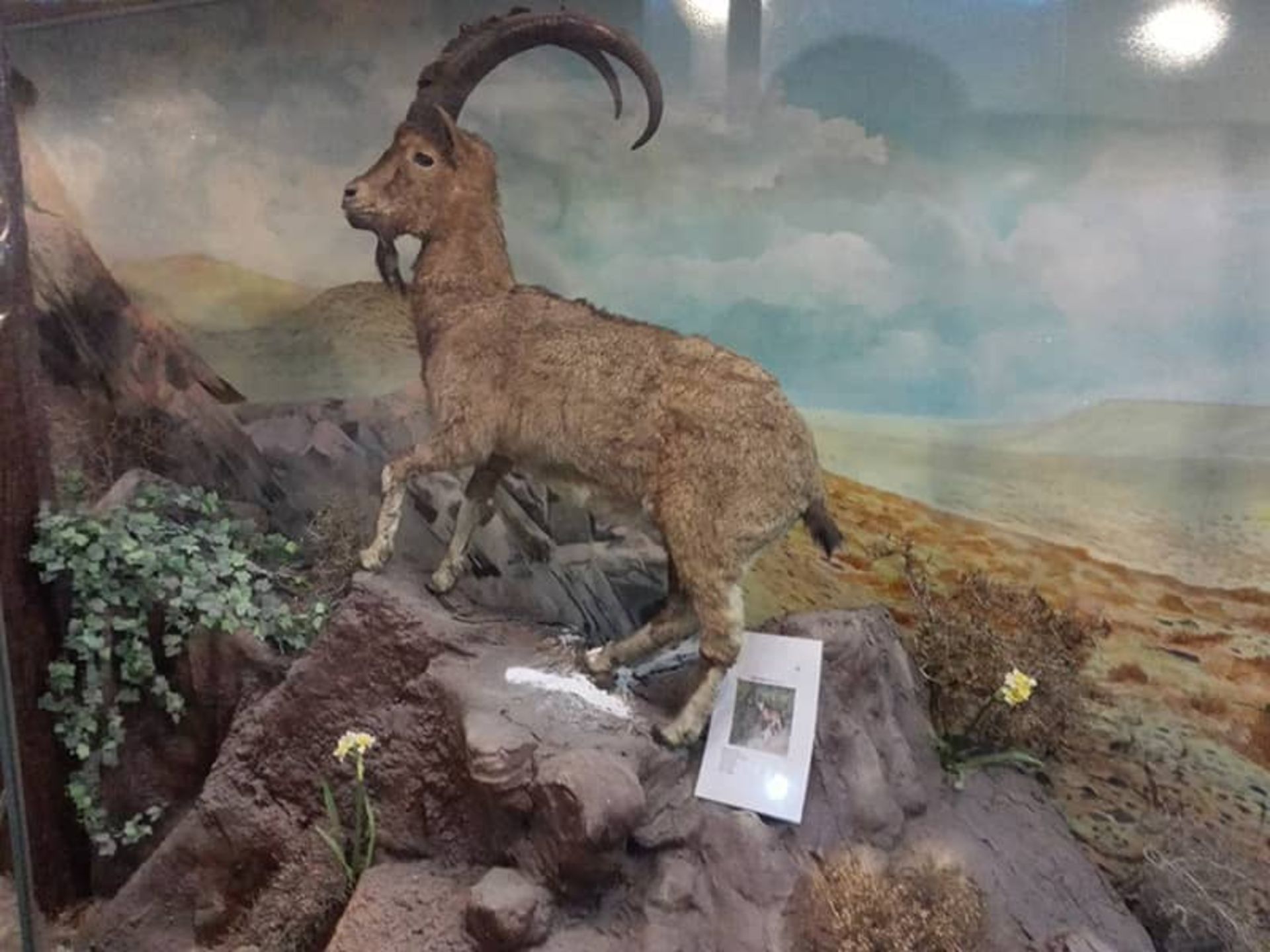 موزه تنوع زیستی اراک