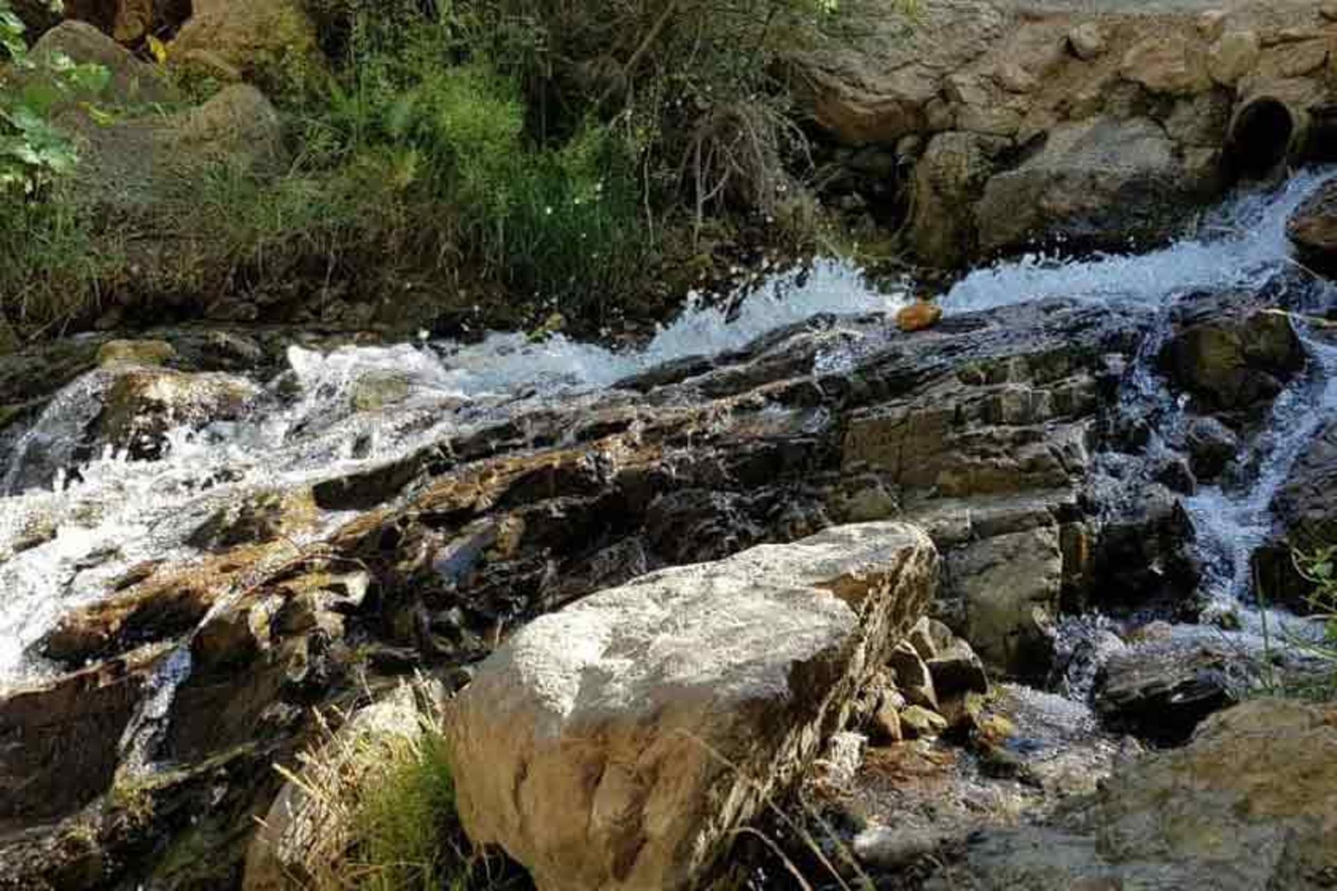 چشمه انگورستانی دامغان