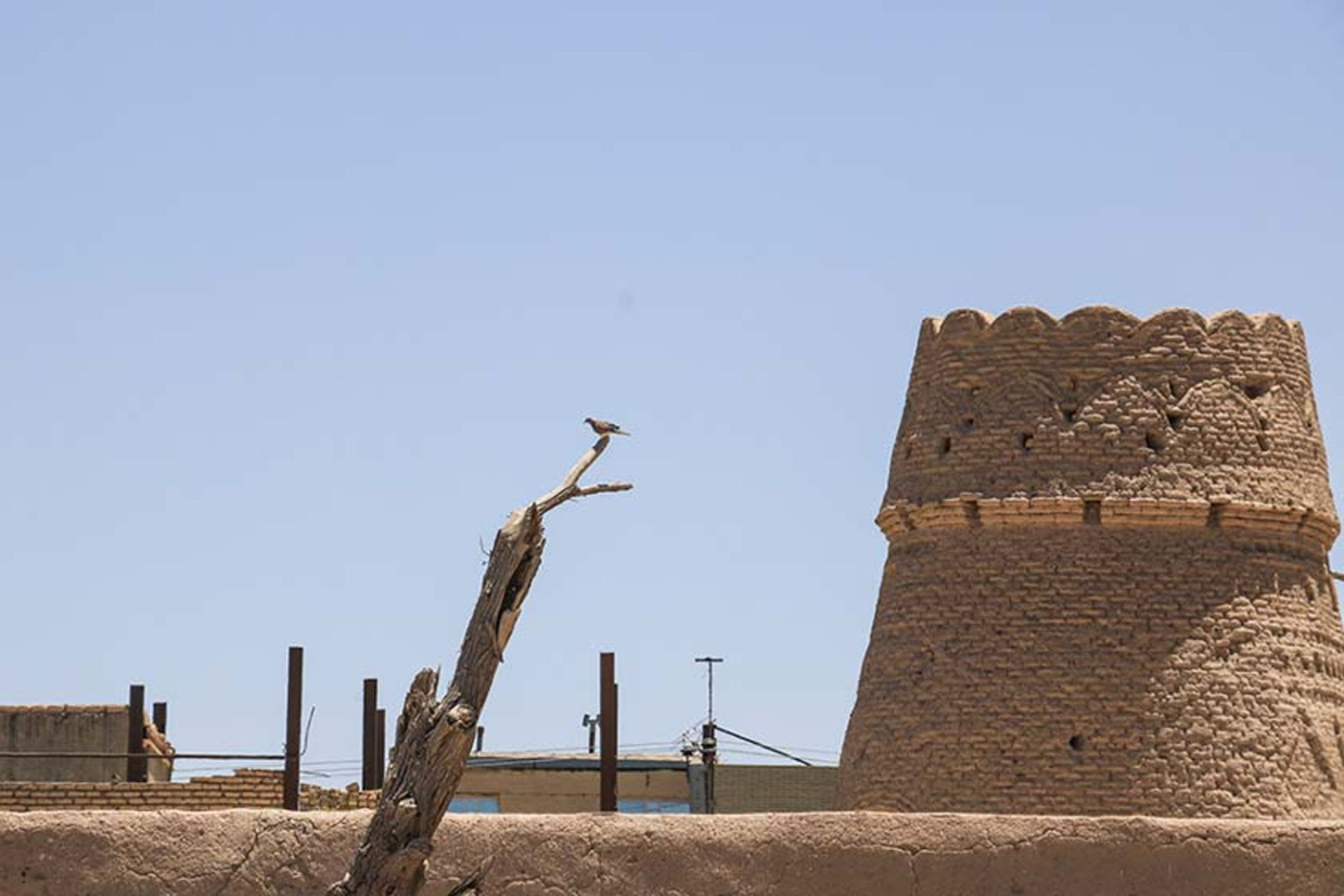 خانه بهادر الملک