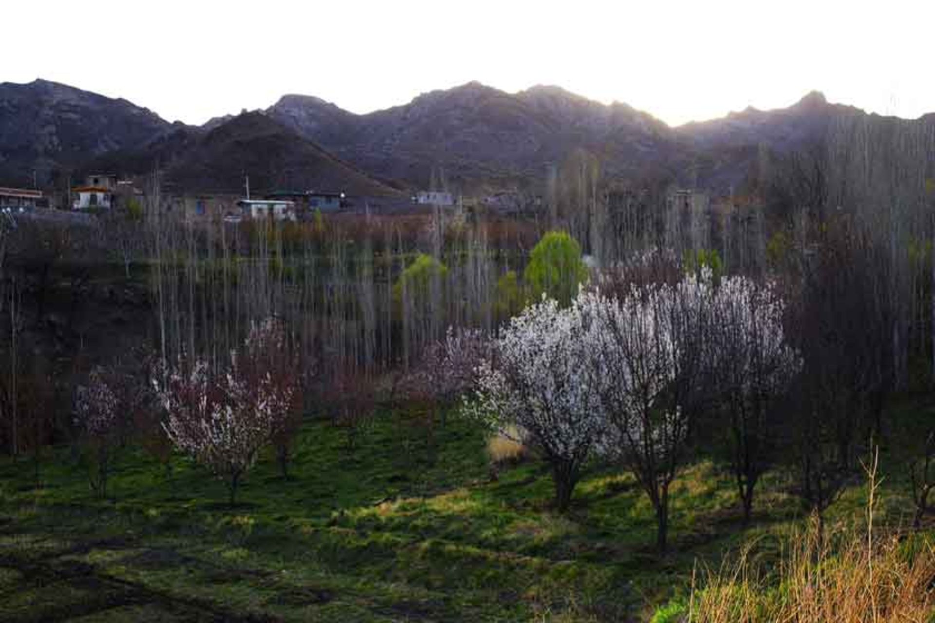 منطقه ساردوئیه