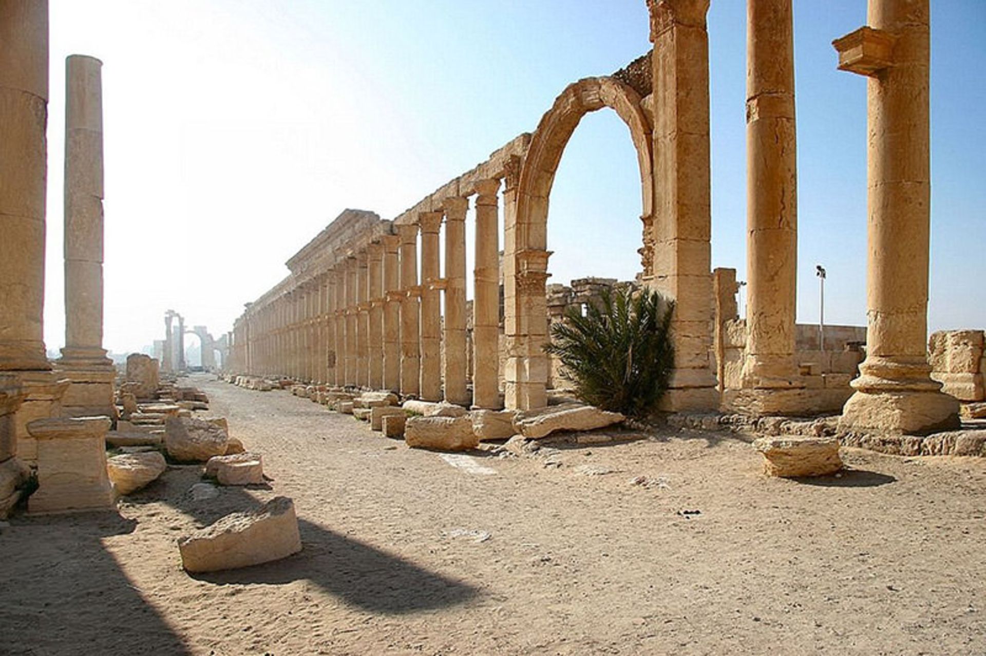 پالمیرا- سوریه
