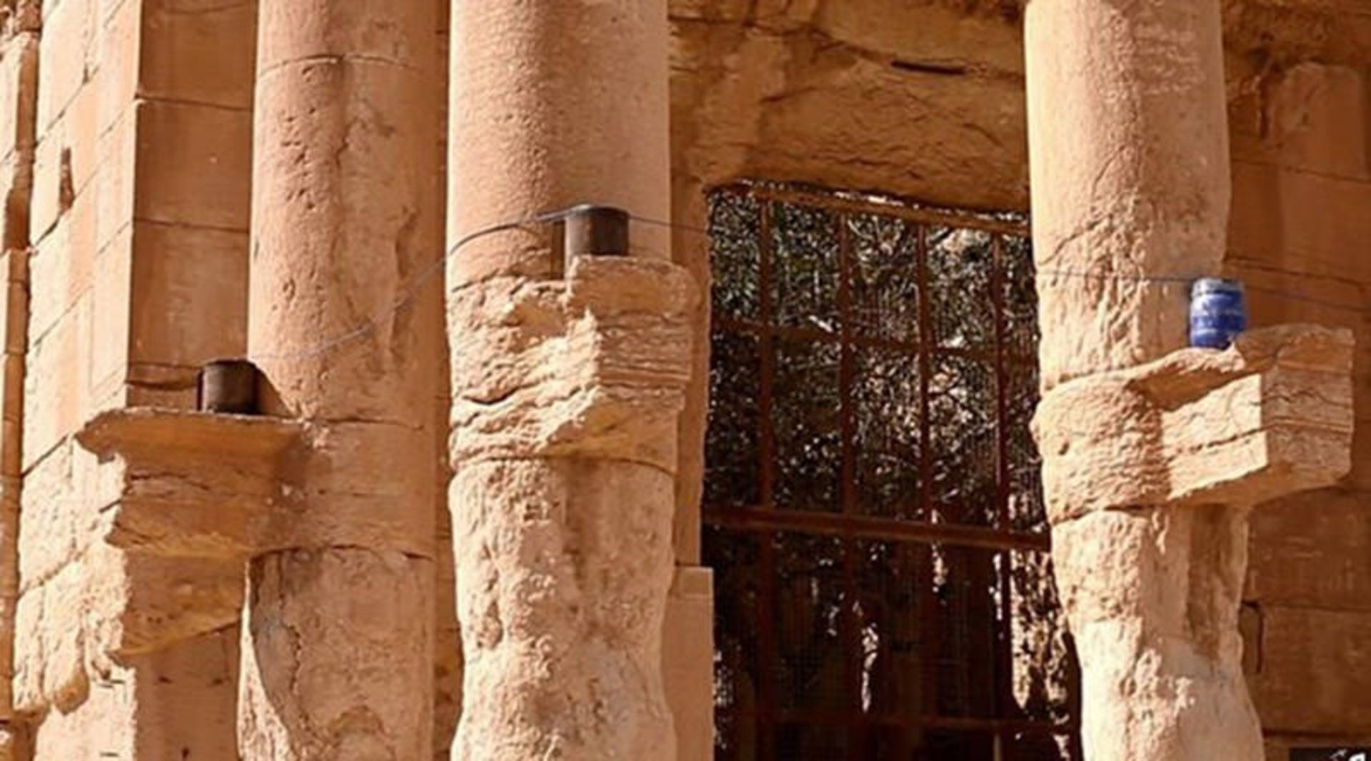 پالمیرا