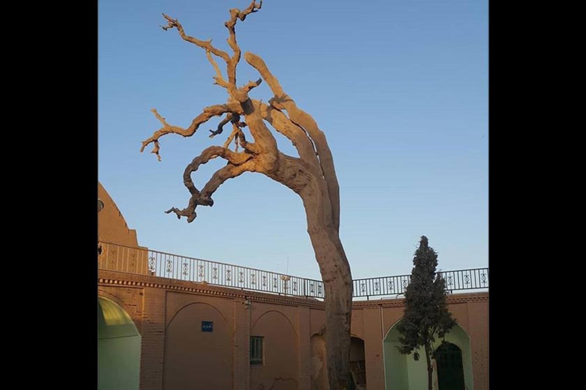 مجموعه تاريخی شهدای فهرج