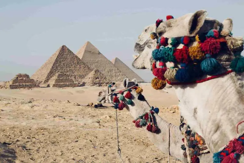 مصر