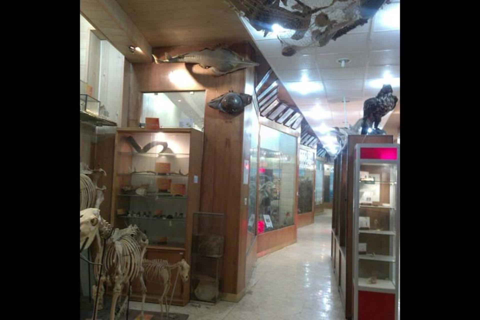 موزه تاریخ طبیعی دانشگاه اراک