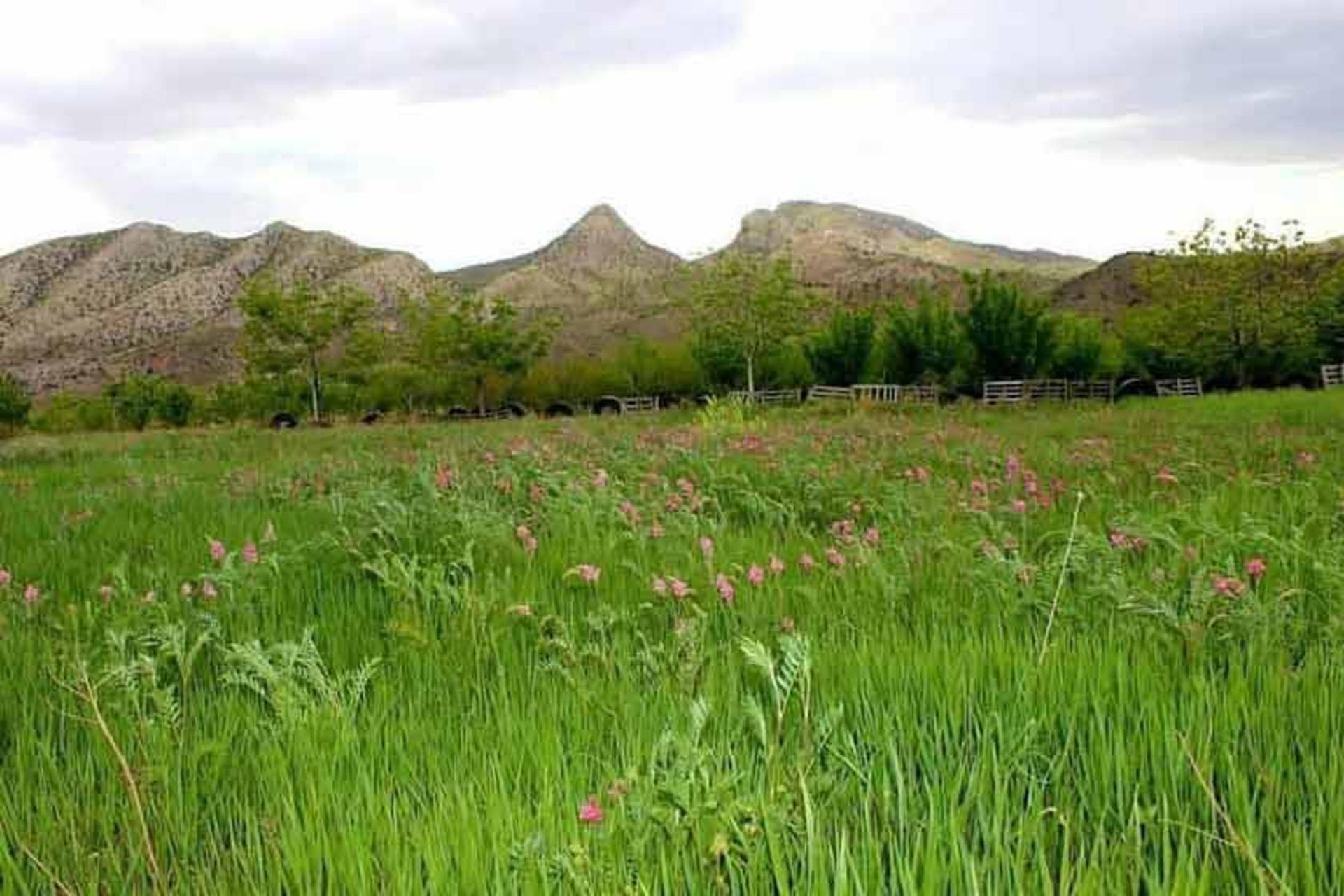 منطقه کوهستانی چهارگنبد