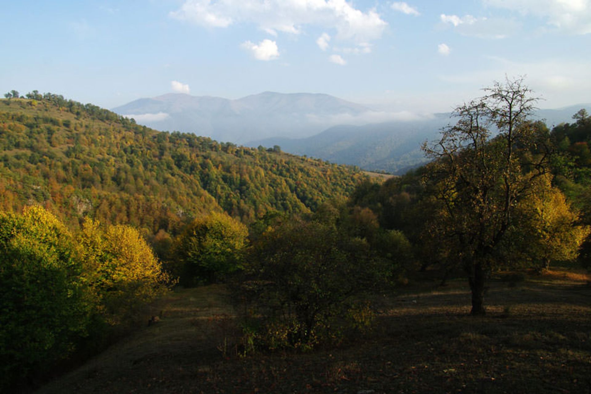 پارک ملی دیلیجان
