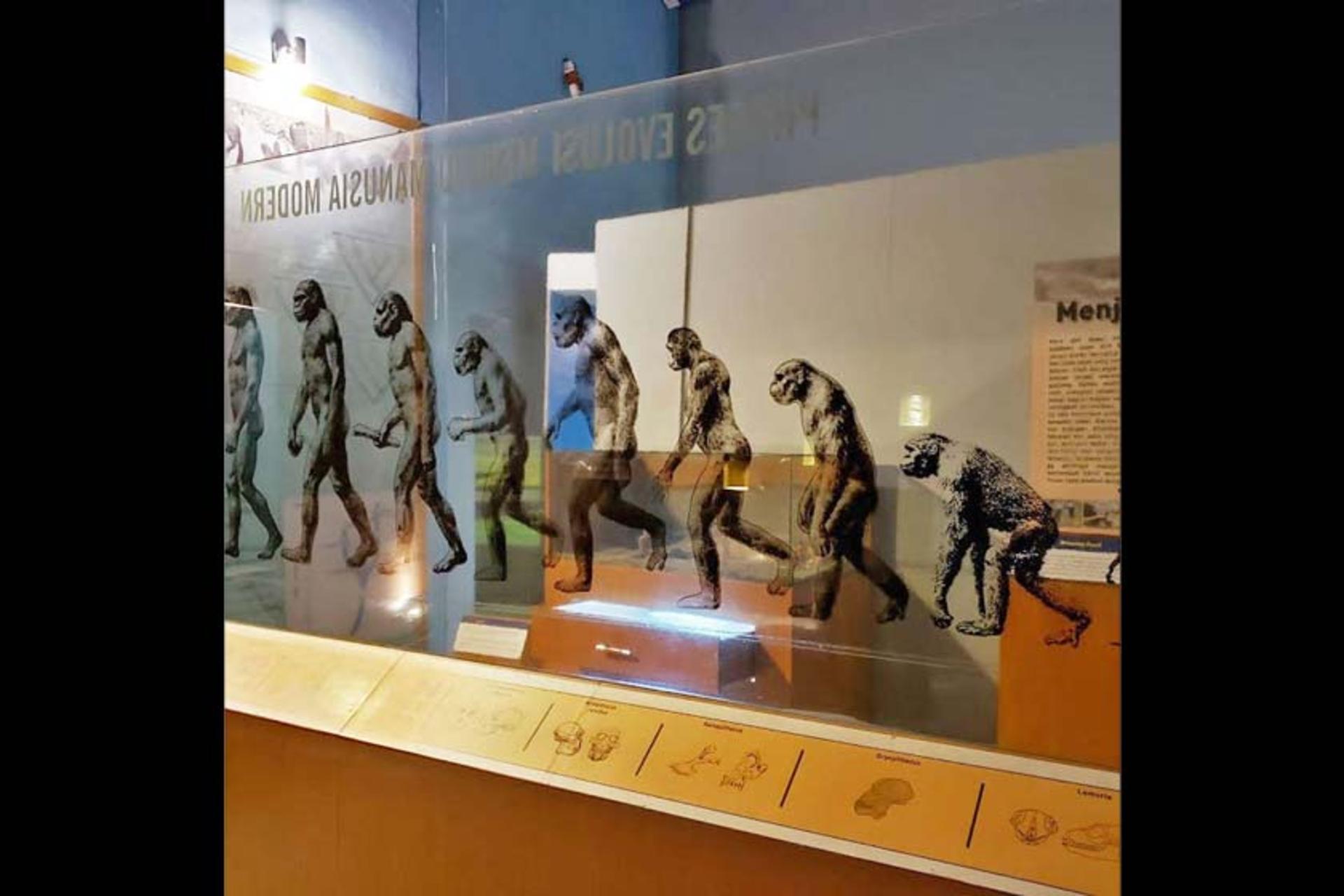 موزه انسان نخستین سانگیران