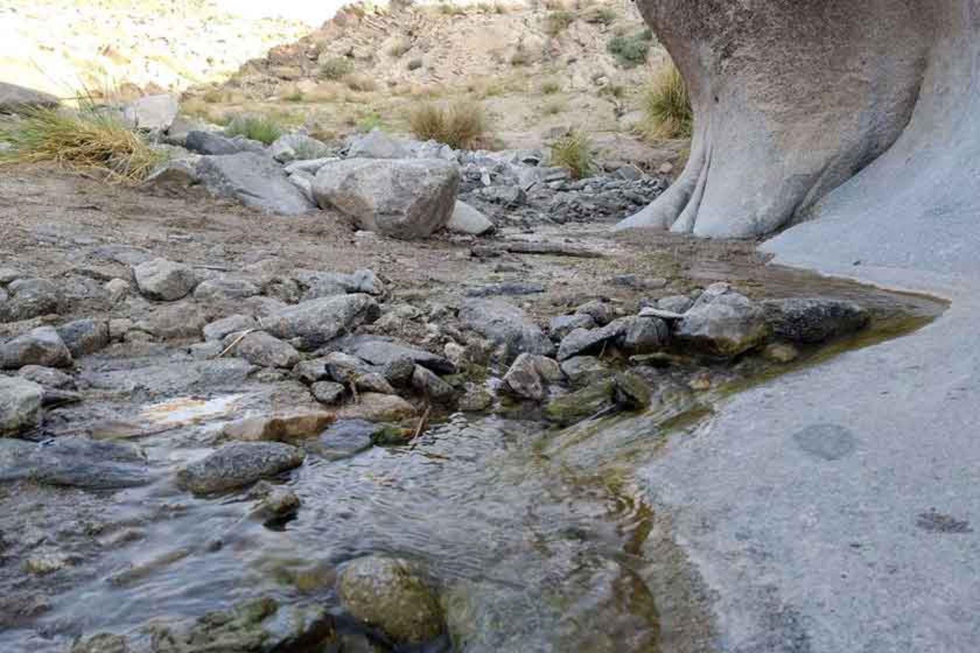 کوه لوچو