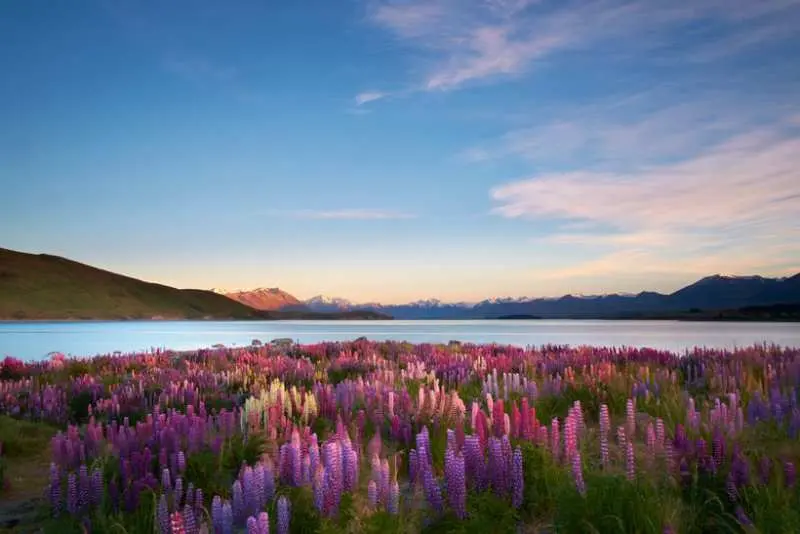 دریاچه تکاپو (Lake Tekapo) ، نیوزیلند