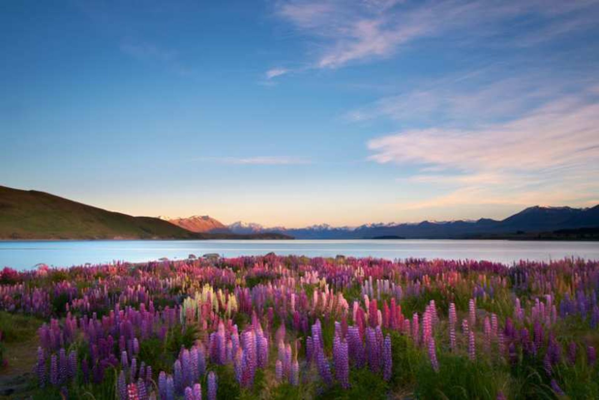 دریاچه تکاپو (Lake Tekapo) ، نیوزیلند