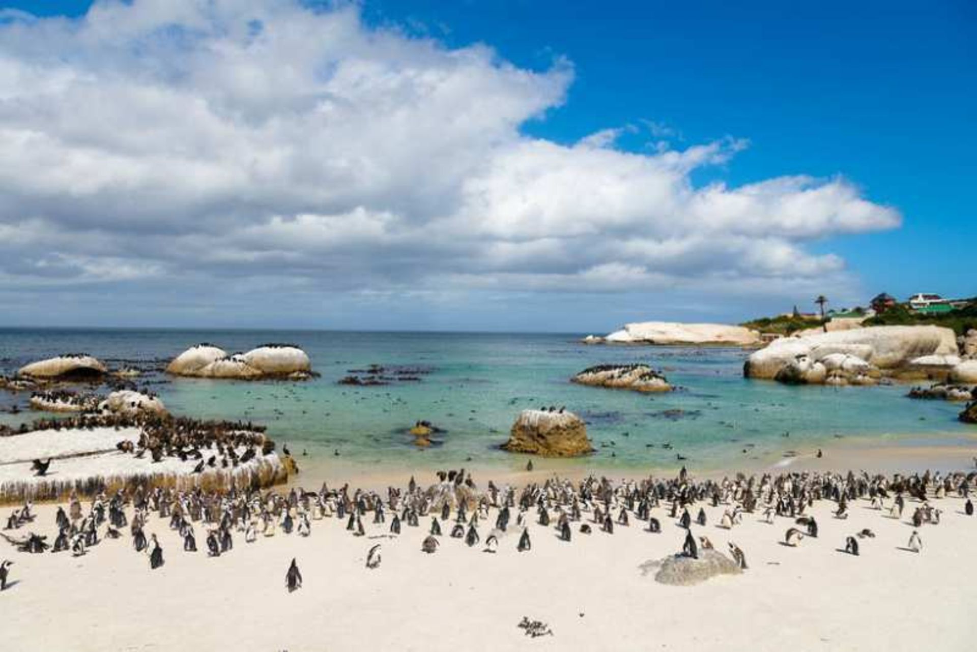 ساحل بولدرز (Boulders Beach)، آفریقای جنوبی