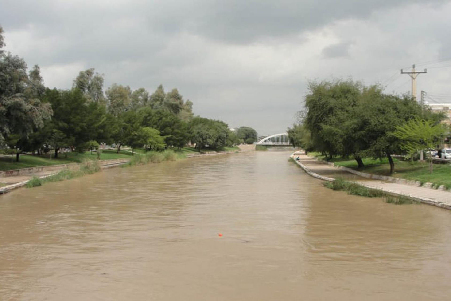 رود شاوور