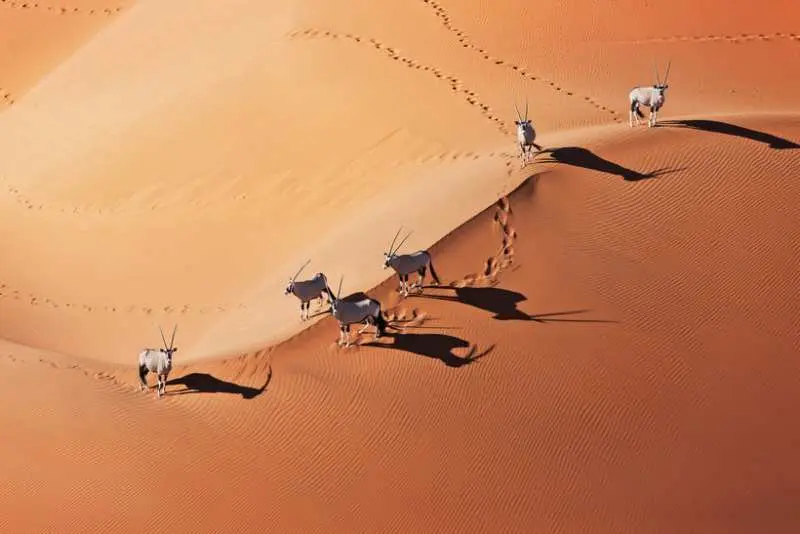 بیابان نامیب، نامیبیا