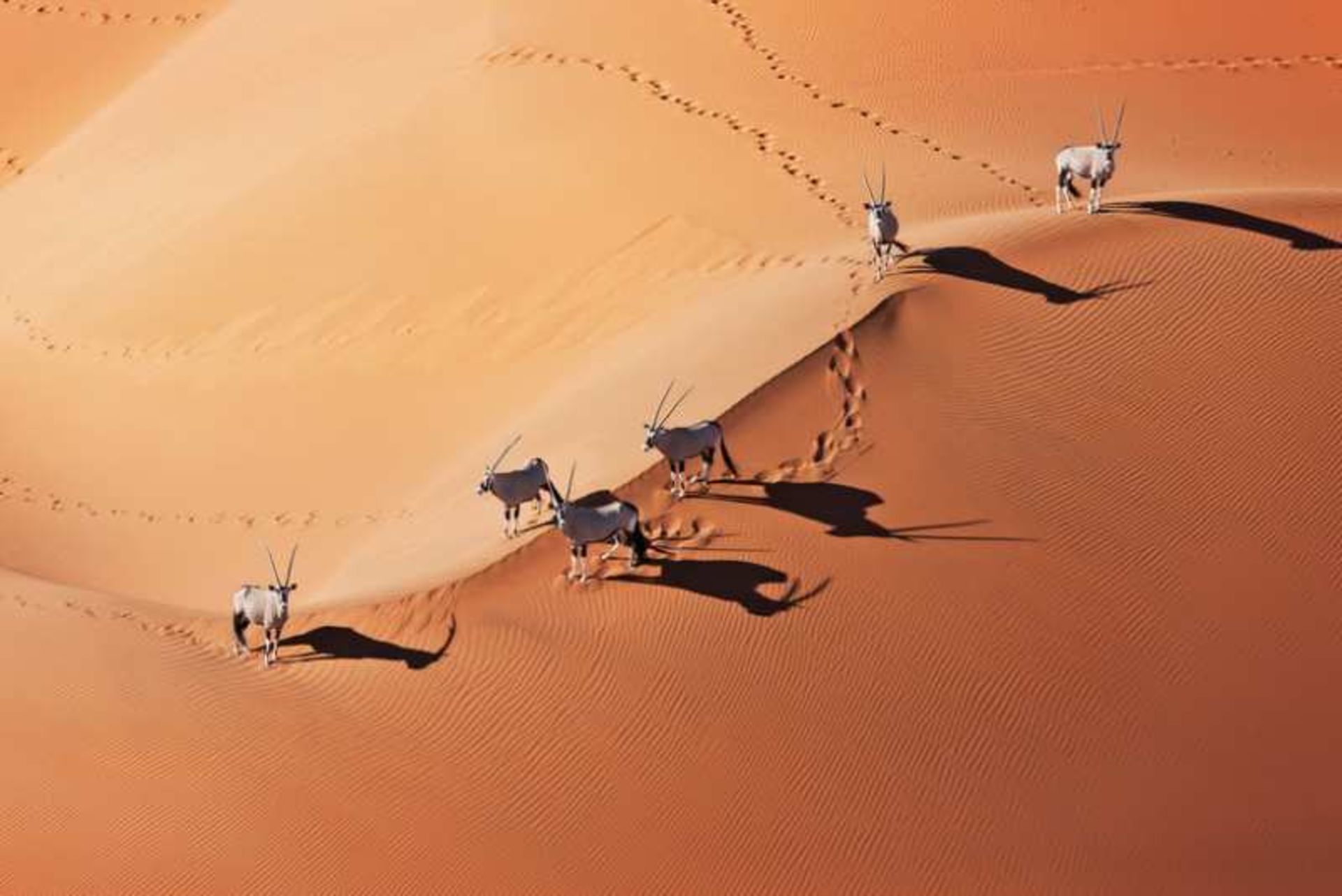 بیابان نامیب، نامیبیا