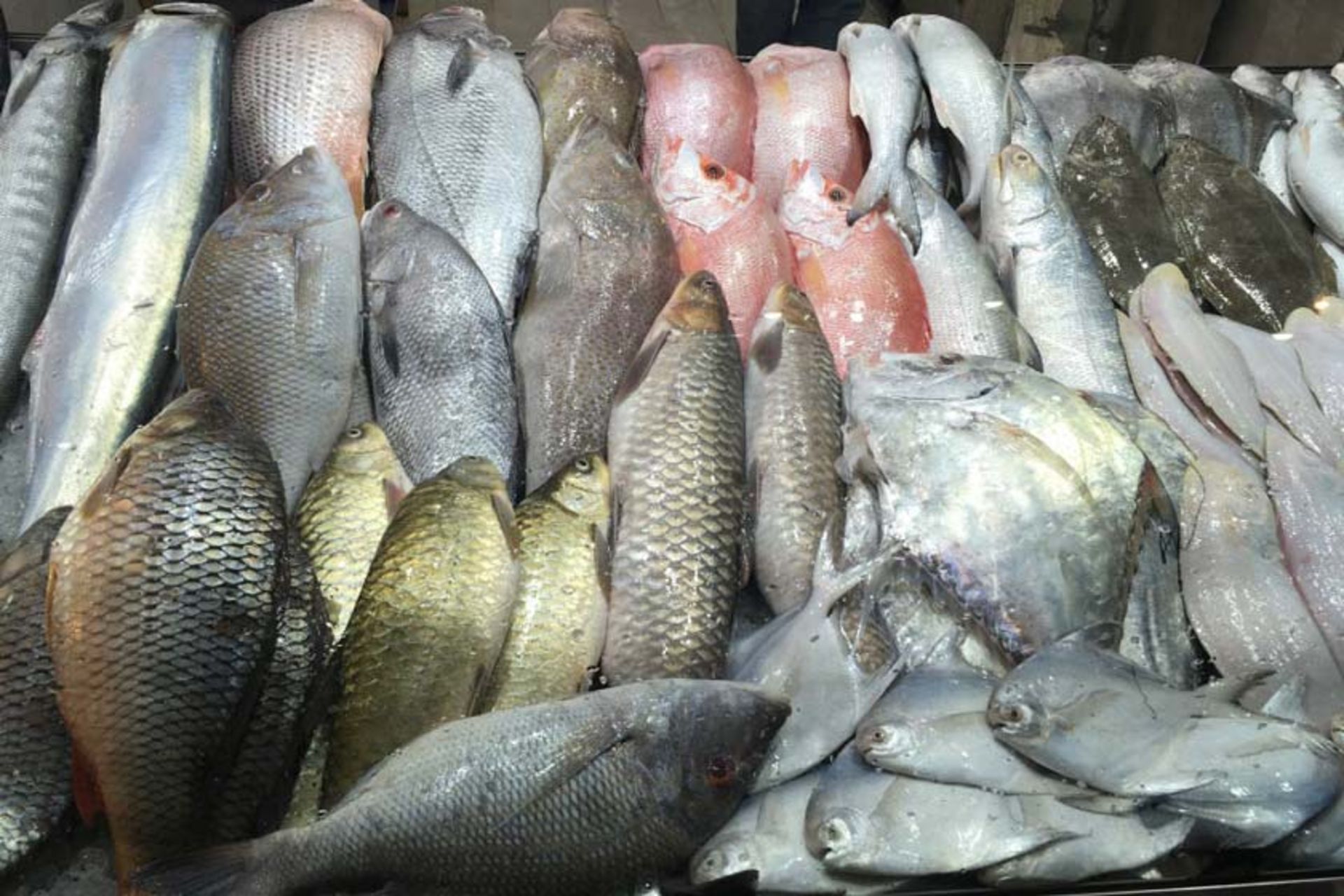 بازار کاوه اهواز