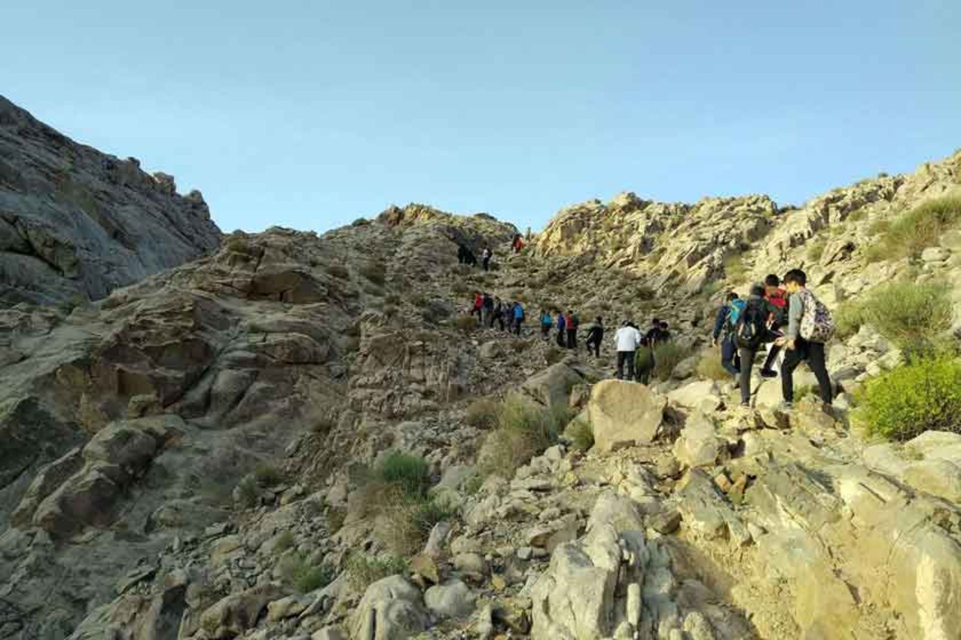 کوه لوچو