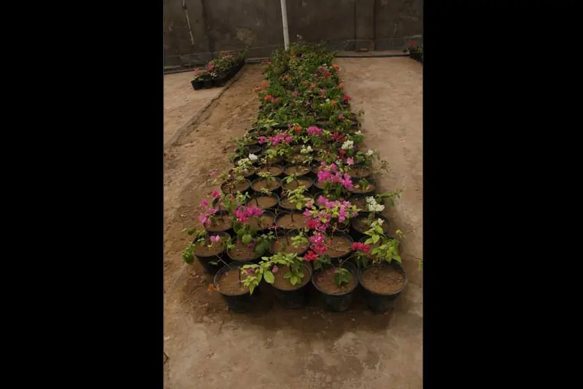 باغ گیاه شناسی چابهار