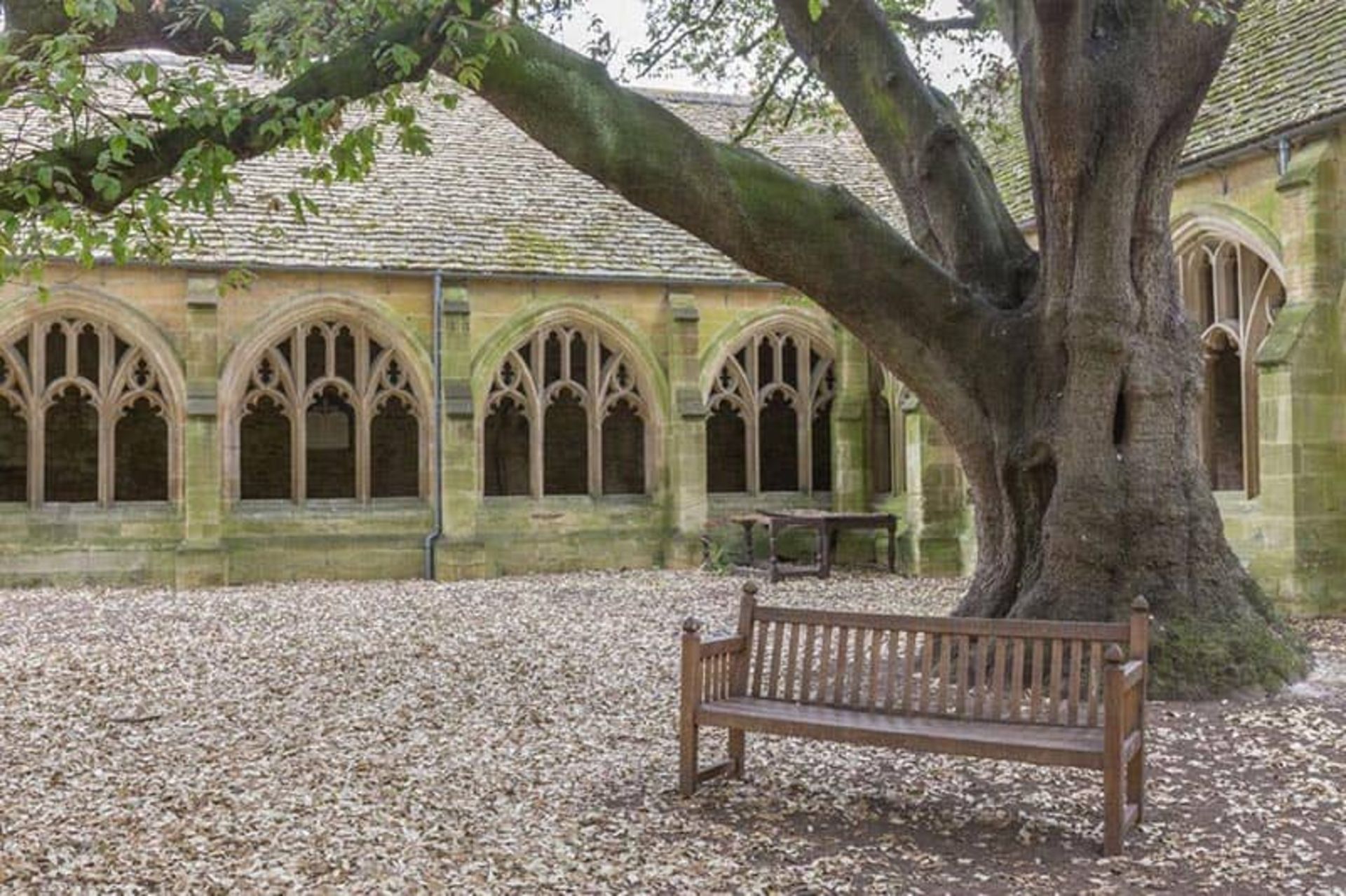  New College