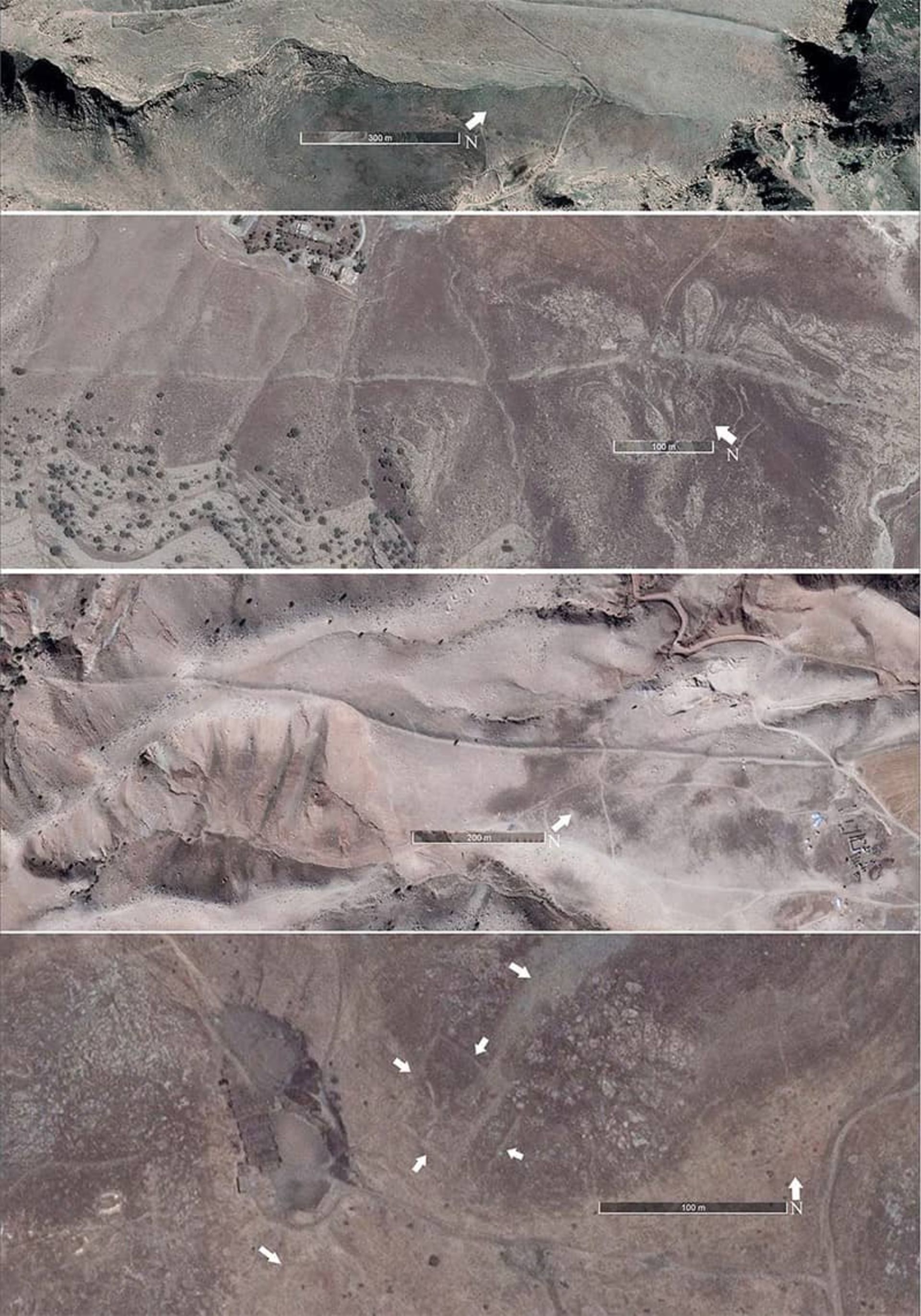 دیوار گاوری