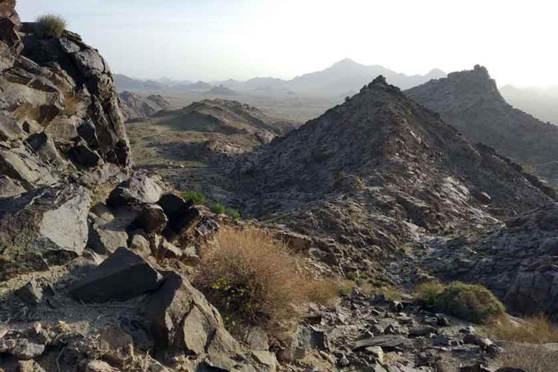 کوه لوچو