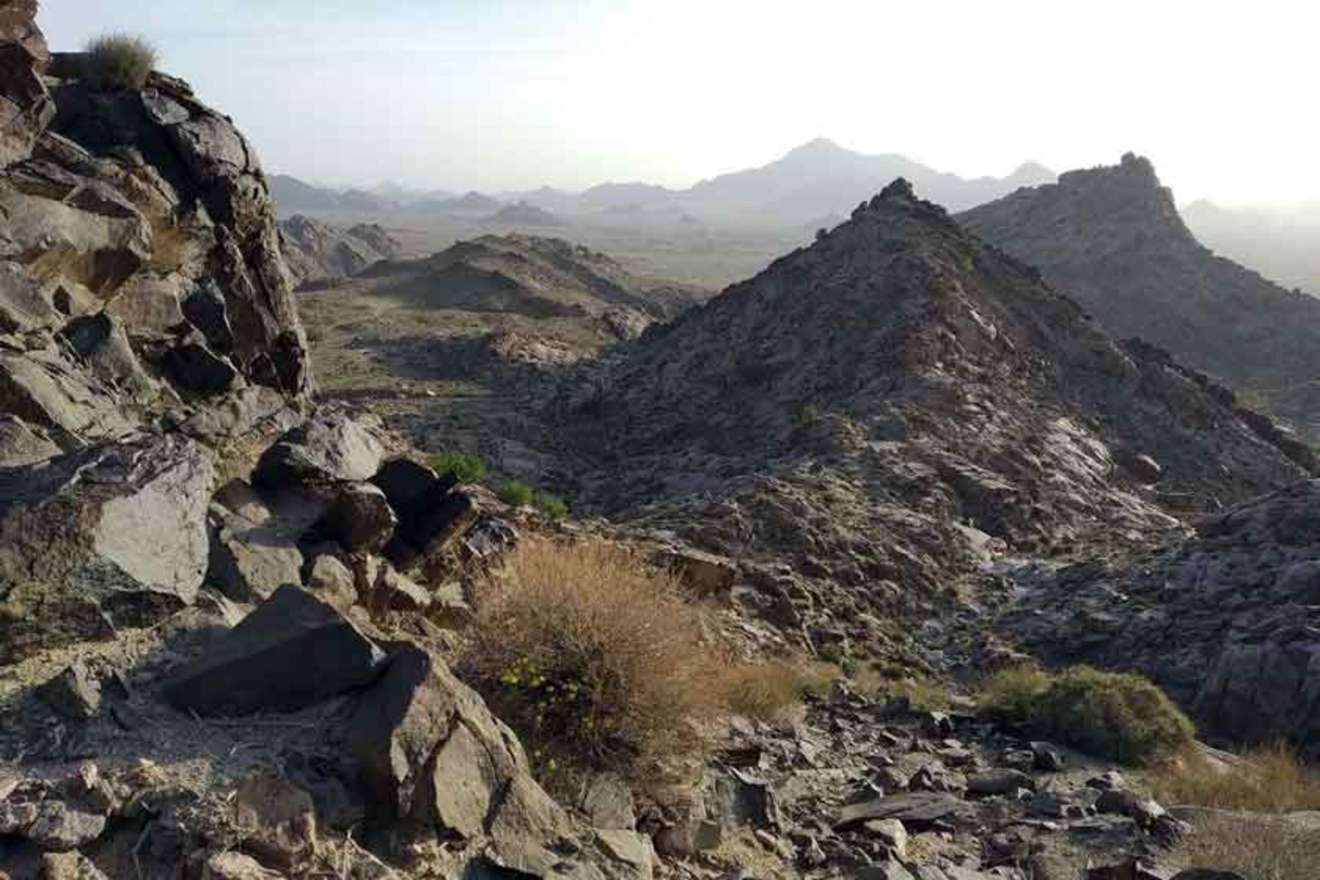 کوه لوچو