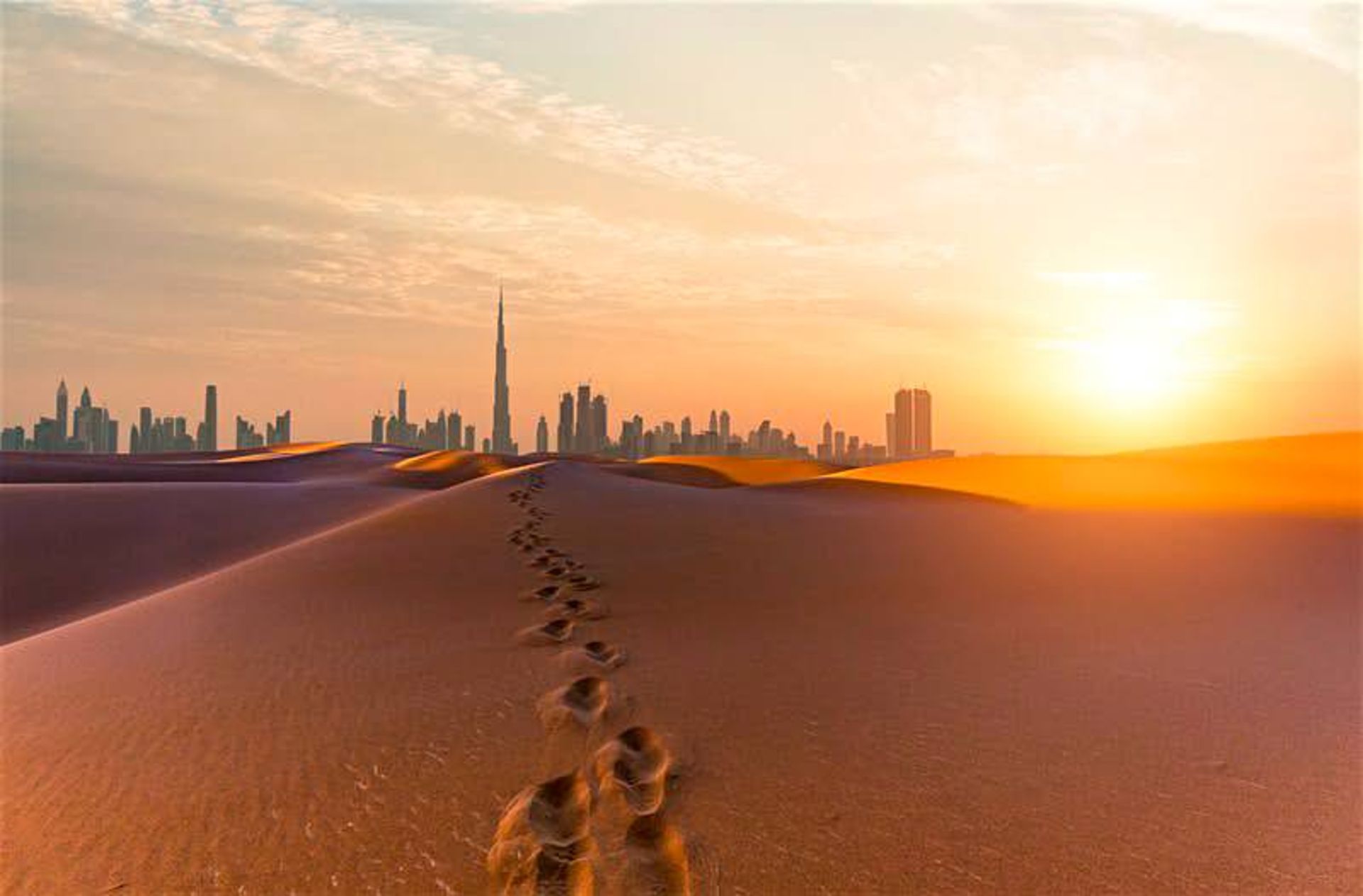 دبی / Dubai