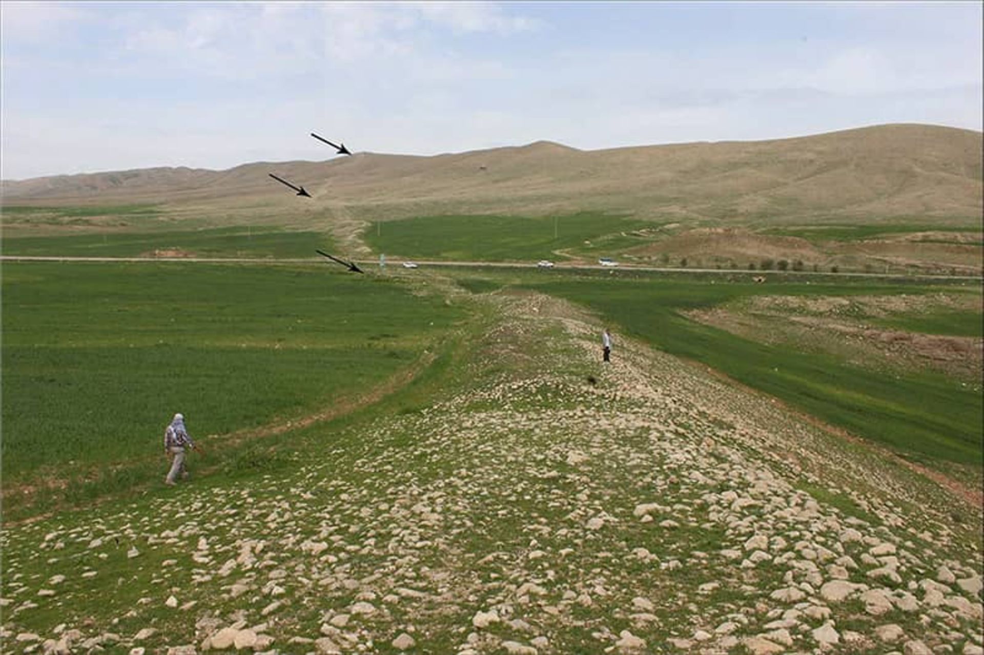 دیوار سر پل ذهاب یا گاوری
