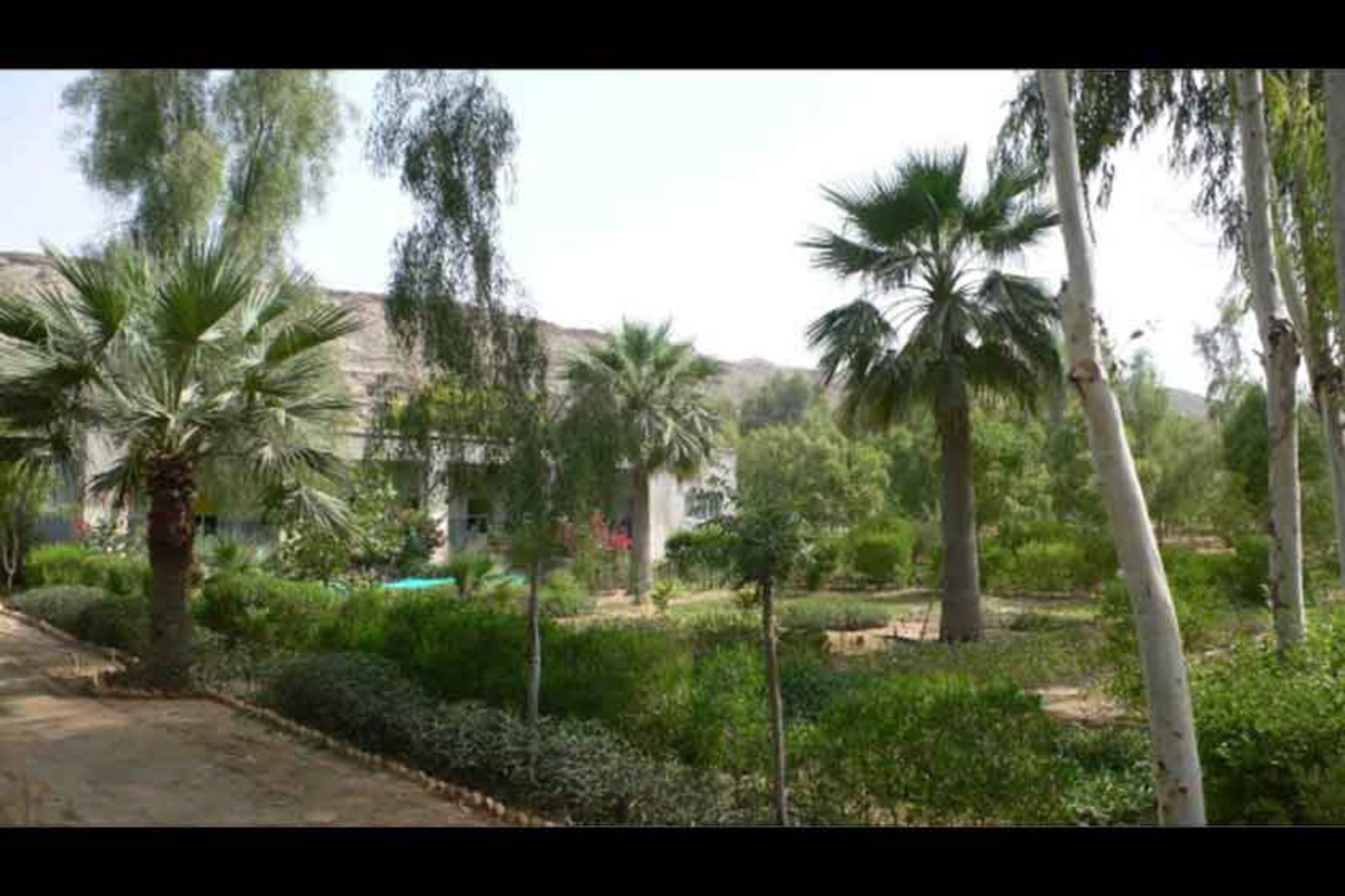 باغ گیاه شناسی چابهار