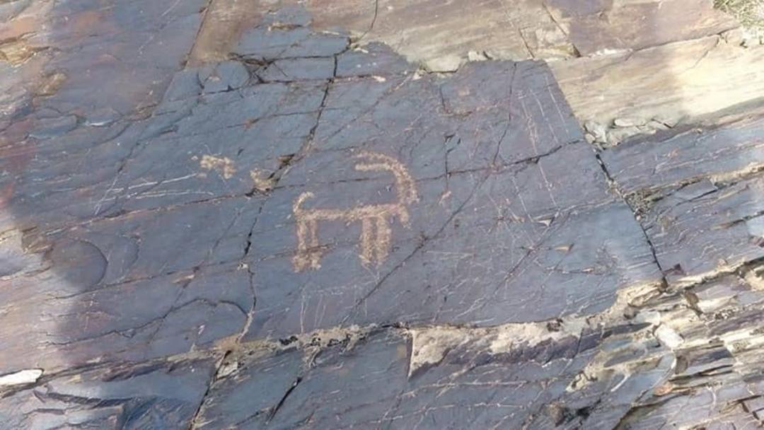 سنگ‌نگاره سرکوبه