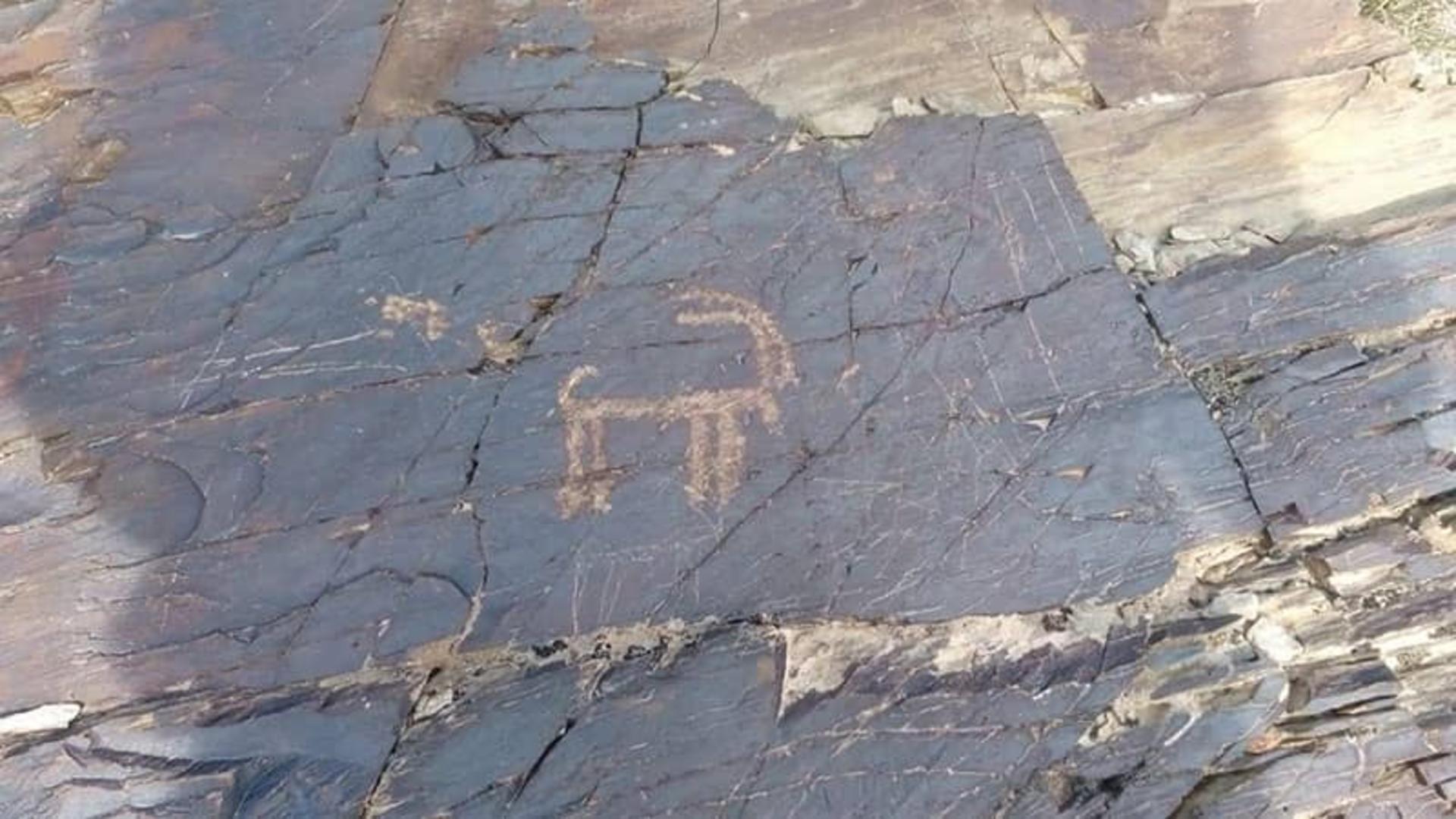 سنگ‌نگاره سرکوبه
