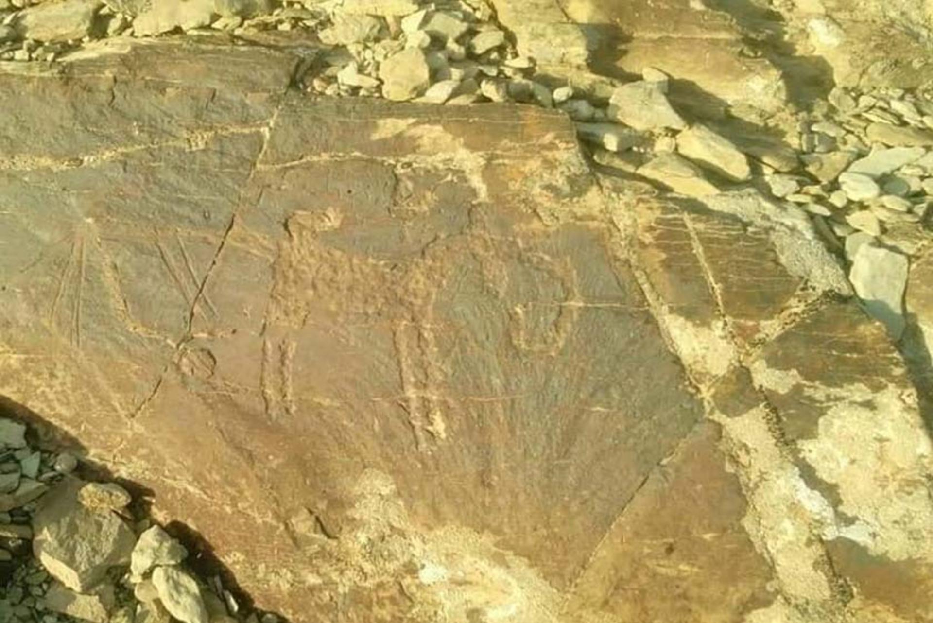 سنگ نگاره‌ های سرکوبه